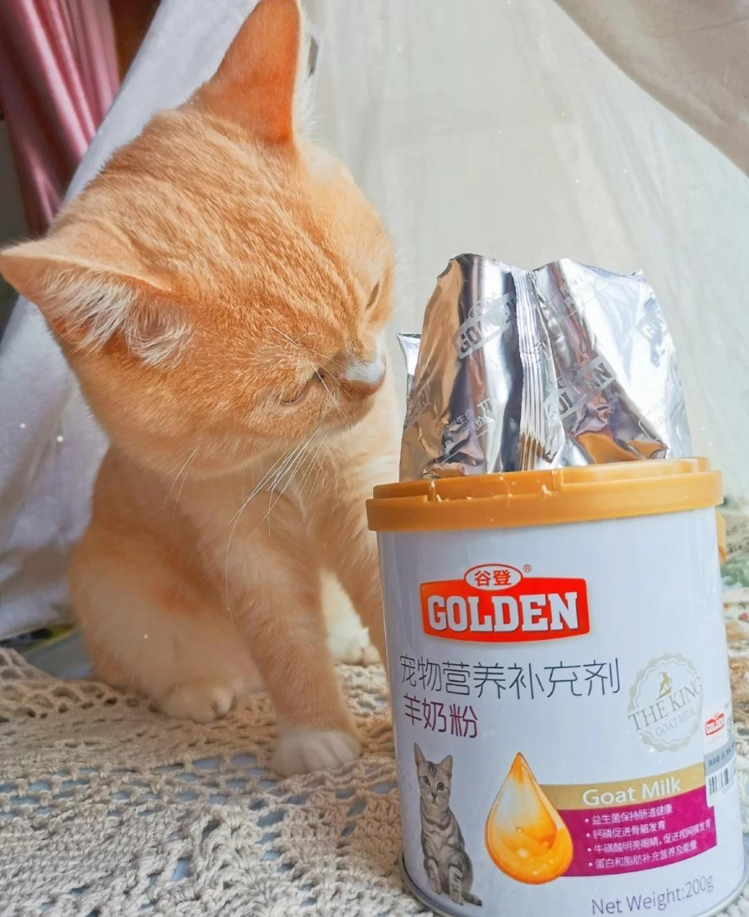 【养猫攻略】😺猫猫营养品-谷登羊奶粉