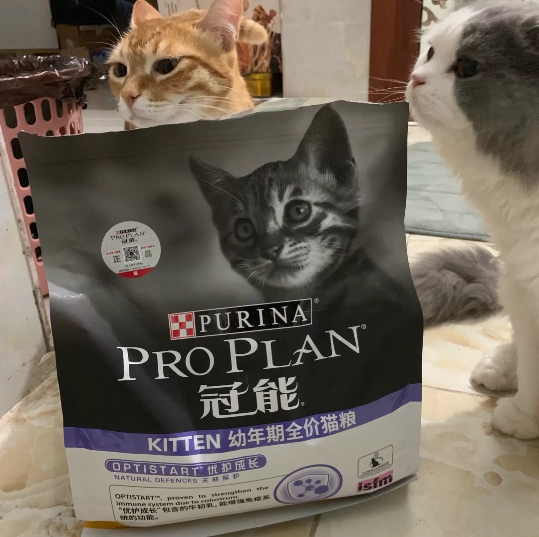 “好吃到哭”猫粮、泪痕，黑下巴的惨痛教训