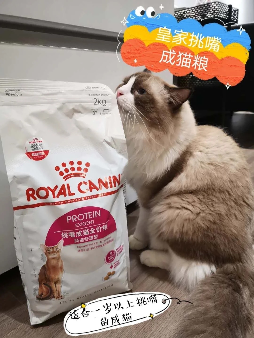 肠道舒适型猫粮:认准皇家