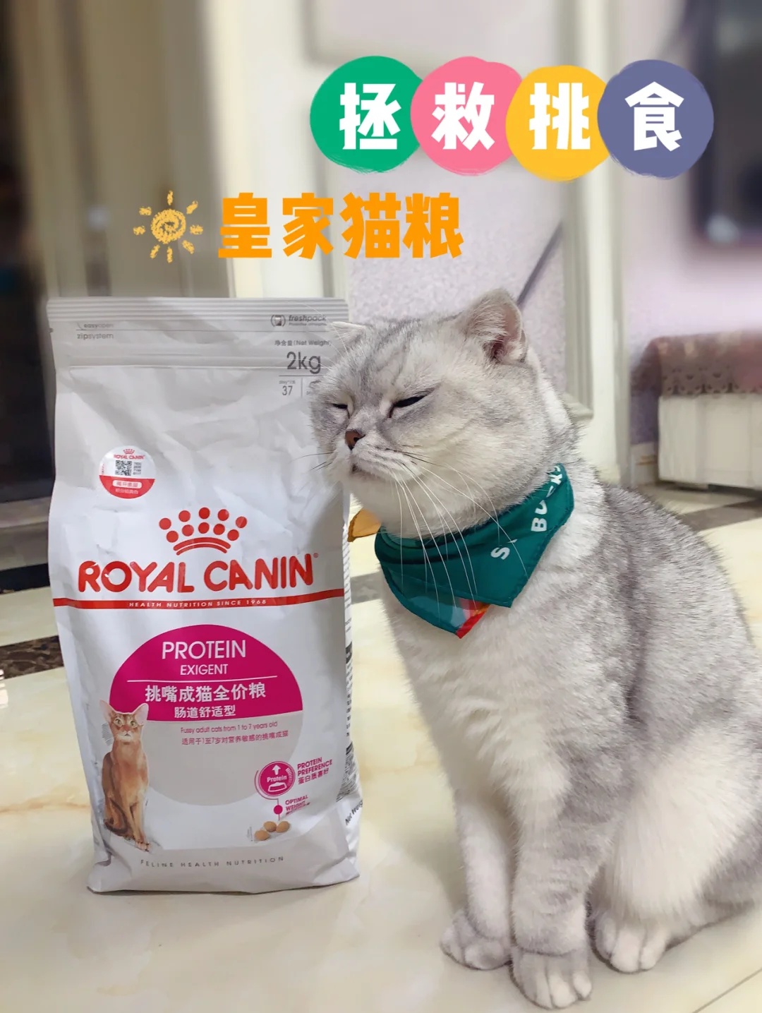 拯救挑食挑嘴猫咪 进口皇家猫粮推荐
