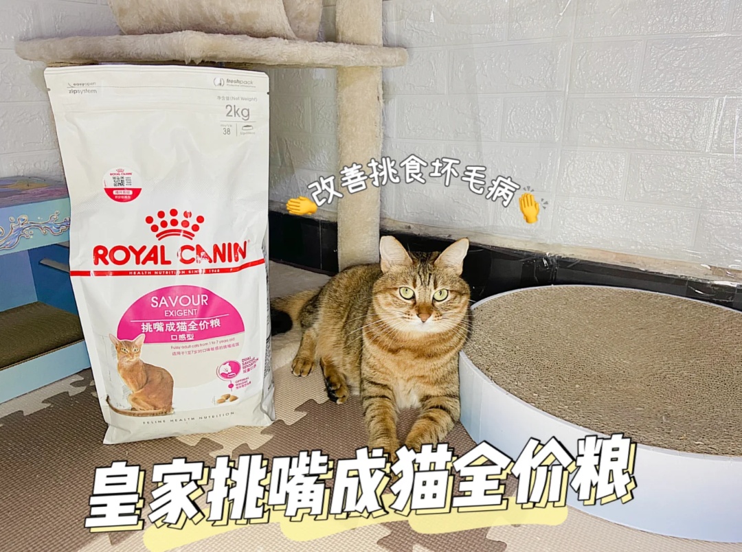 ✅挑嘴猫粮✅大品牌✅适口性棒✅理想体重