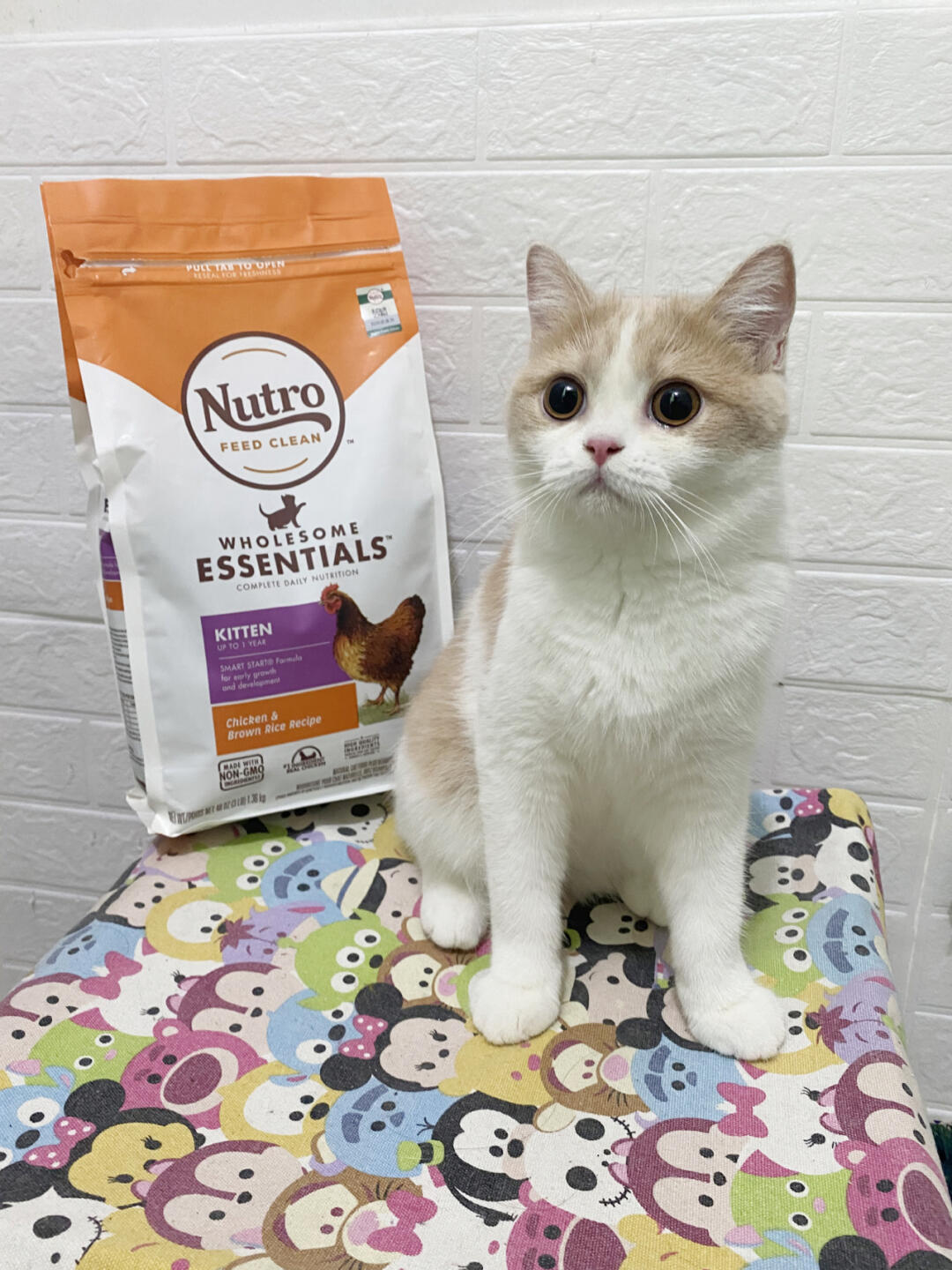 吃宝藏美士猫粮 助力毛孩子茁壮成长