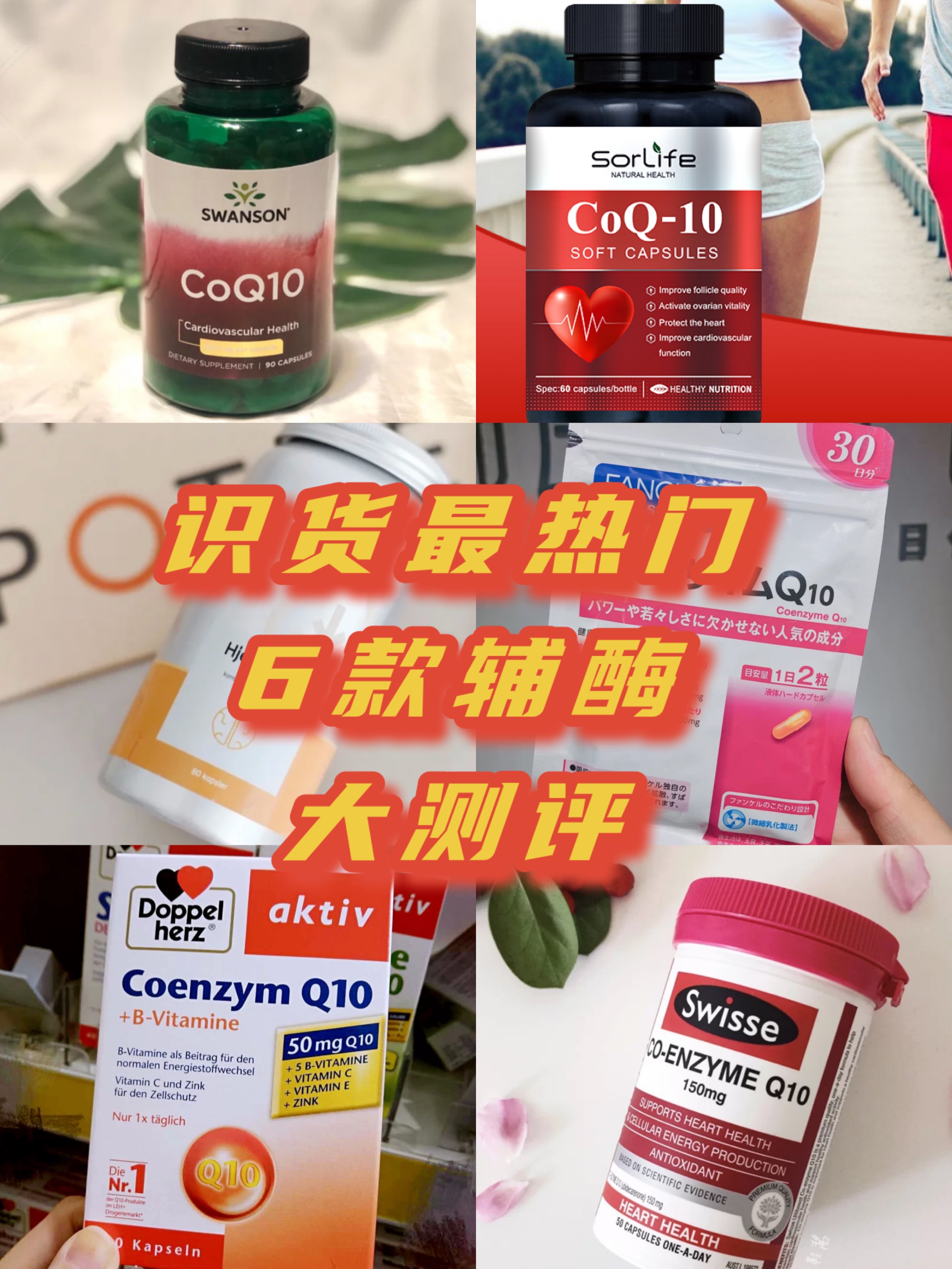 识货最热门6款辅酶大测评