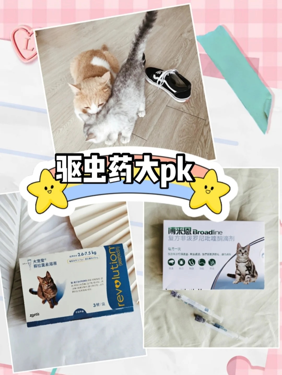 大宠爱or博来恩 猫咪驱虫需谨慎！