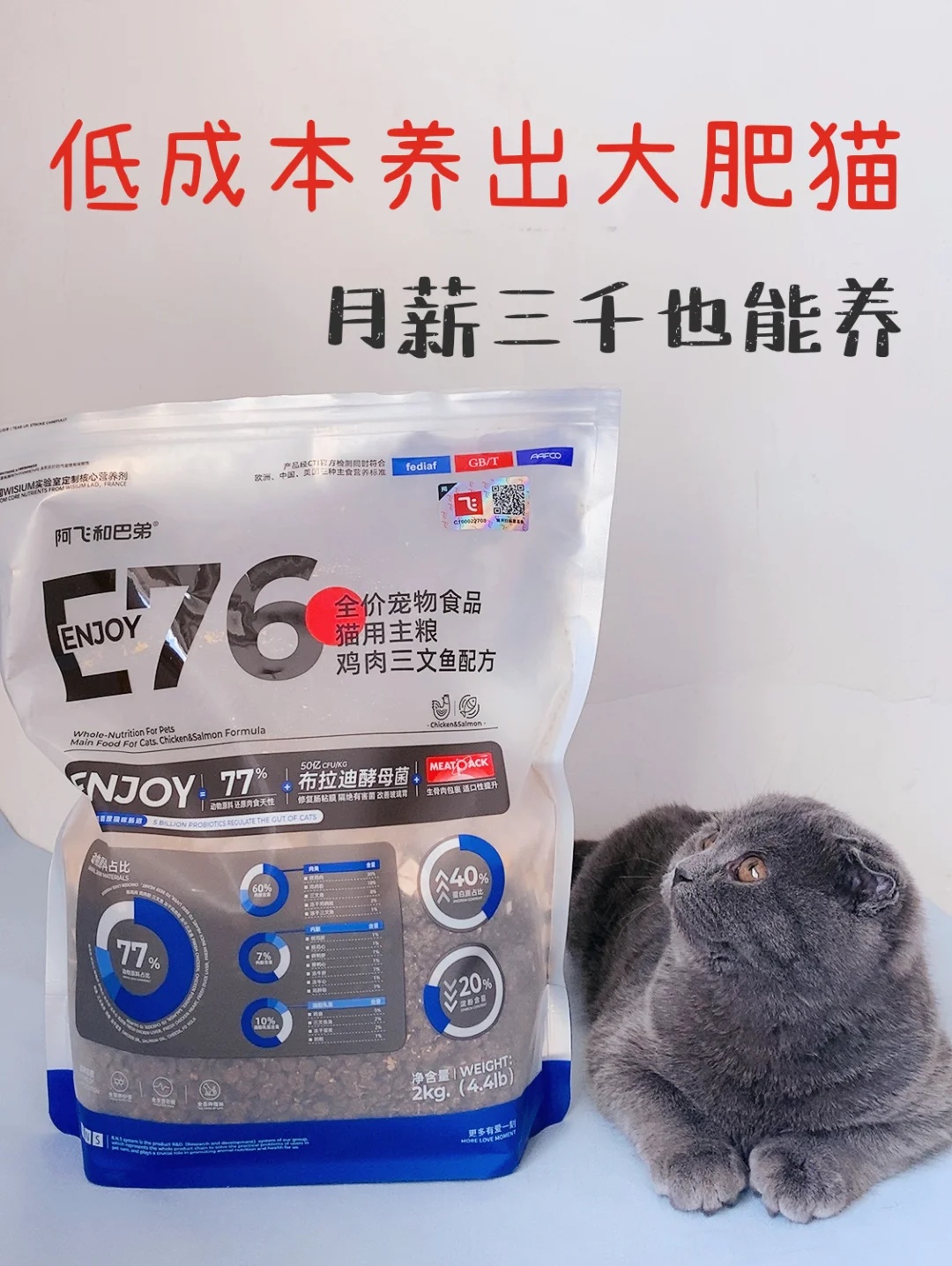 国产猫粮分享丨阿飞和巴弟E76