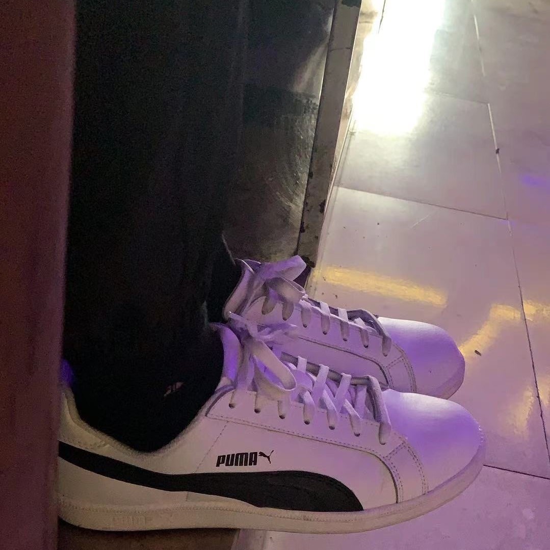 Puma 