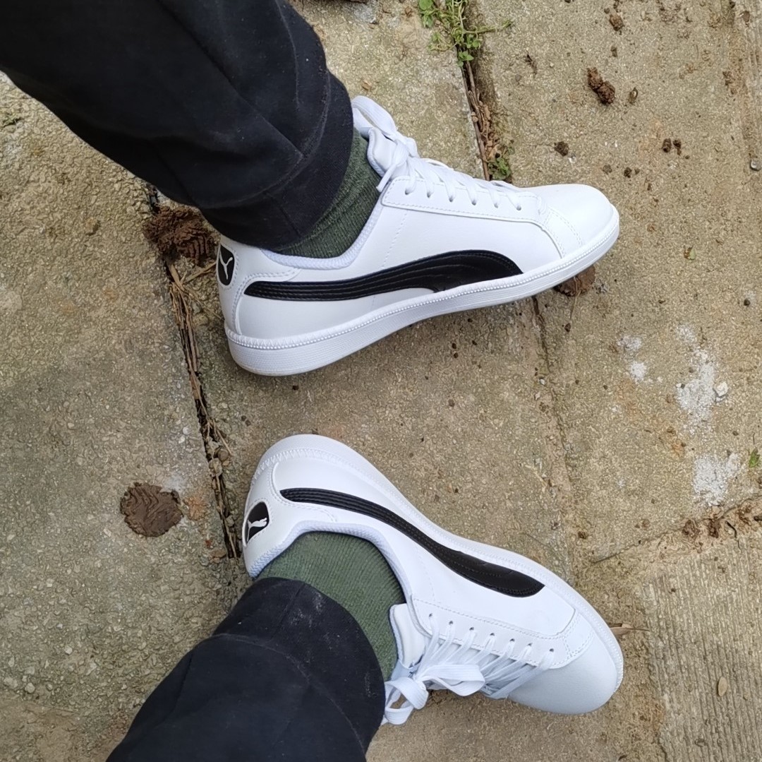 Puma 