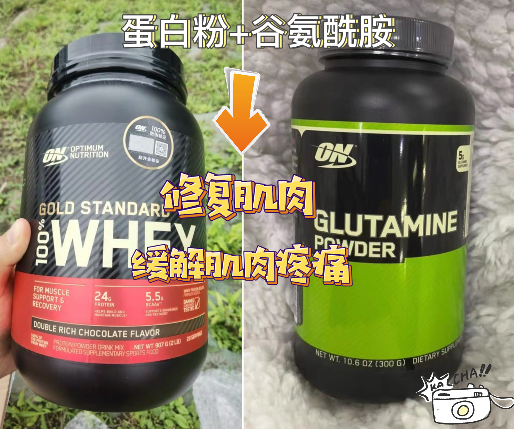 蛋白粉+谷氨酰胺 缓解肌肉酸痛