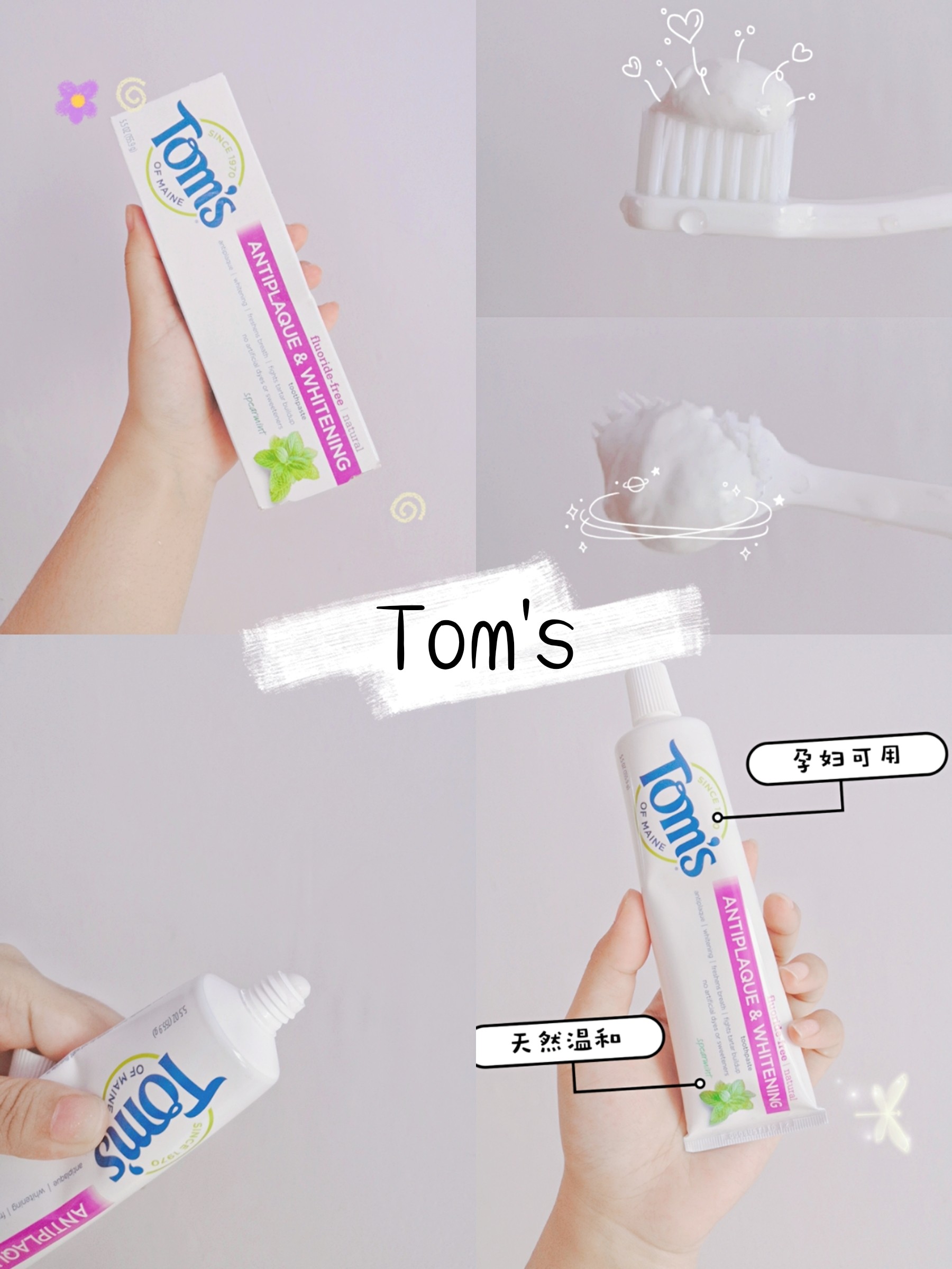 Wow!🔥本仙女香香的口气全靠它啦