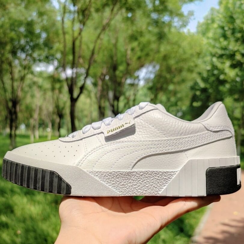 室外光下的Puma Cali