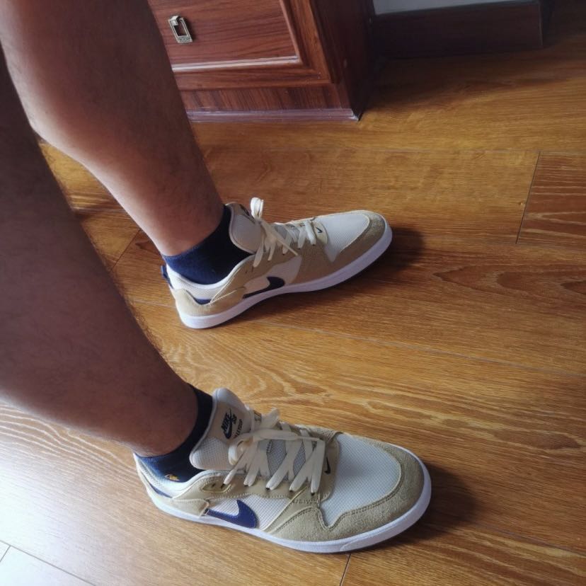 Nike SB Alleyoop 棕色