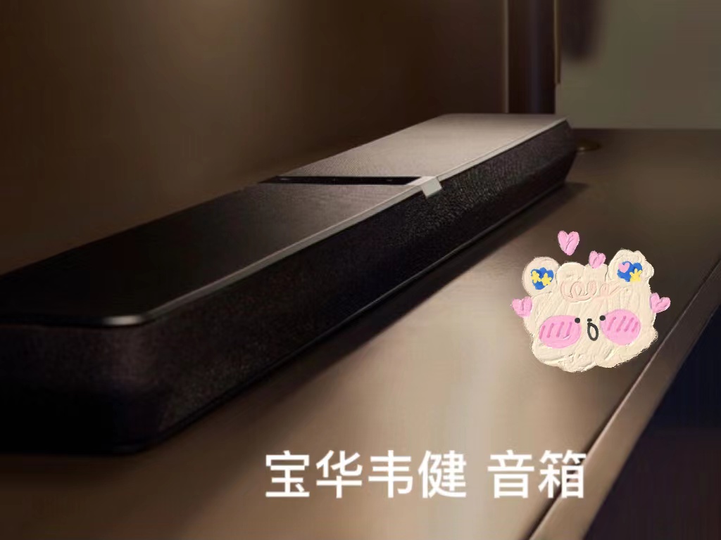 高端音箱推荐~宝华韦健  回音壁音箱 