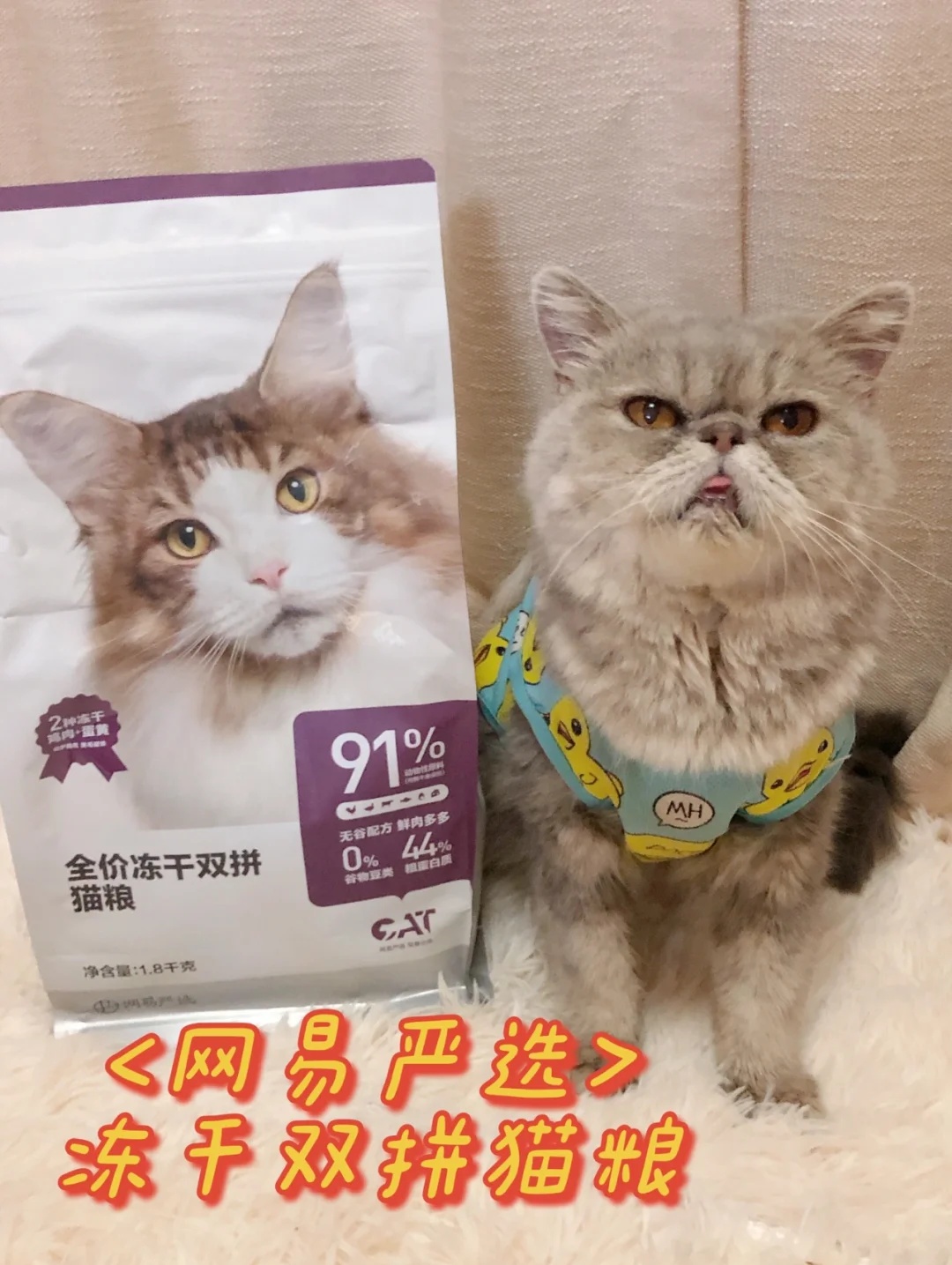 这款猫粮该不该入手？