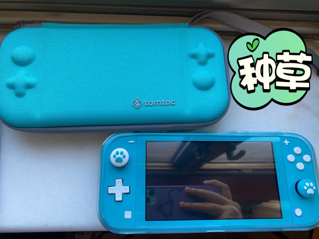 种草Switch Lite️超级棒！！