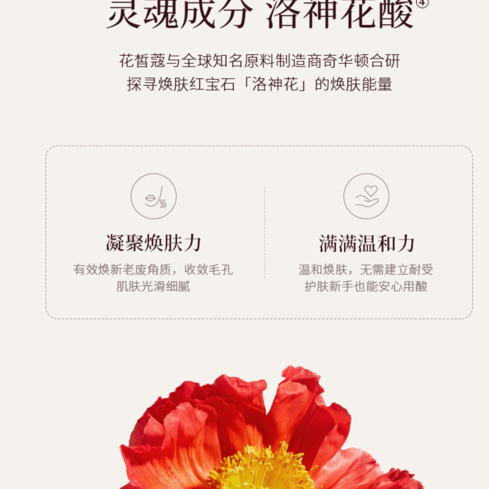 购物之前要识货 正品保障|平台比价|售后无忧
