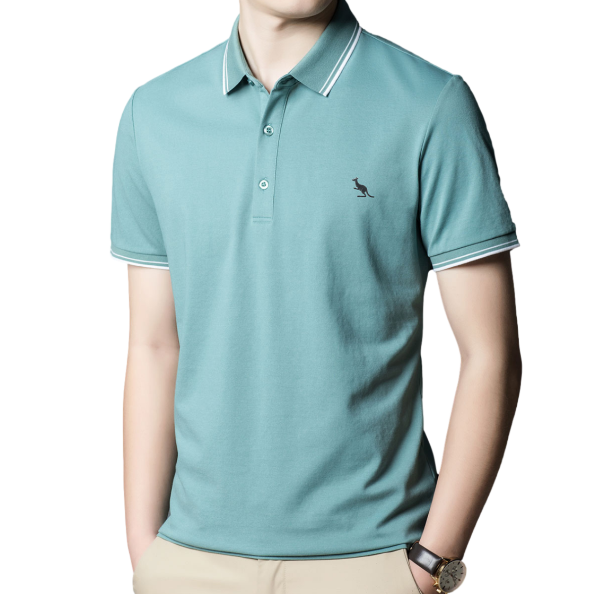 推荐商品：DaiShu 舒适柔软短袖POLO衫 PCL3222 浅绿