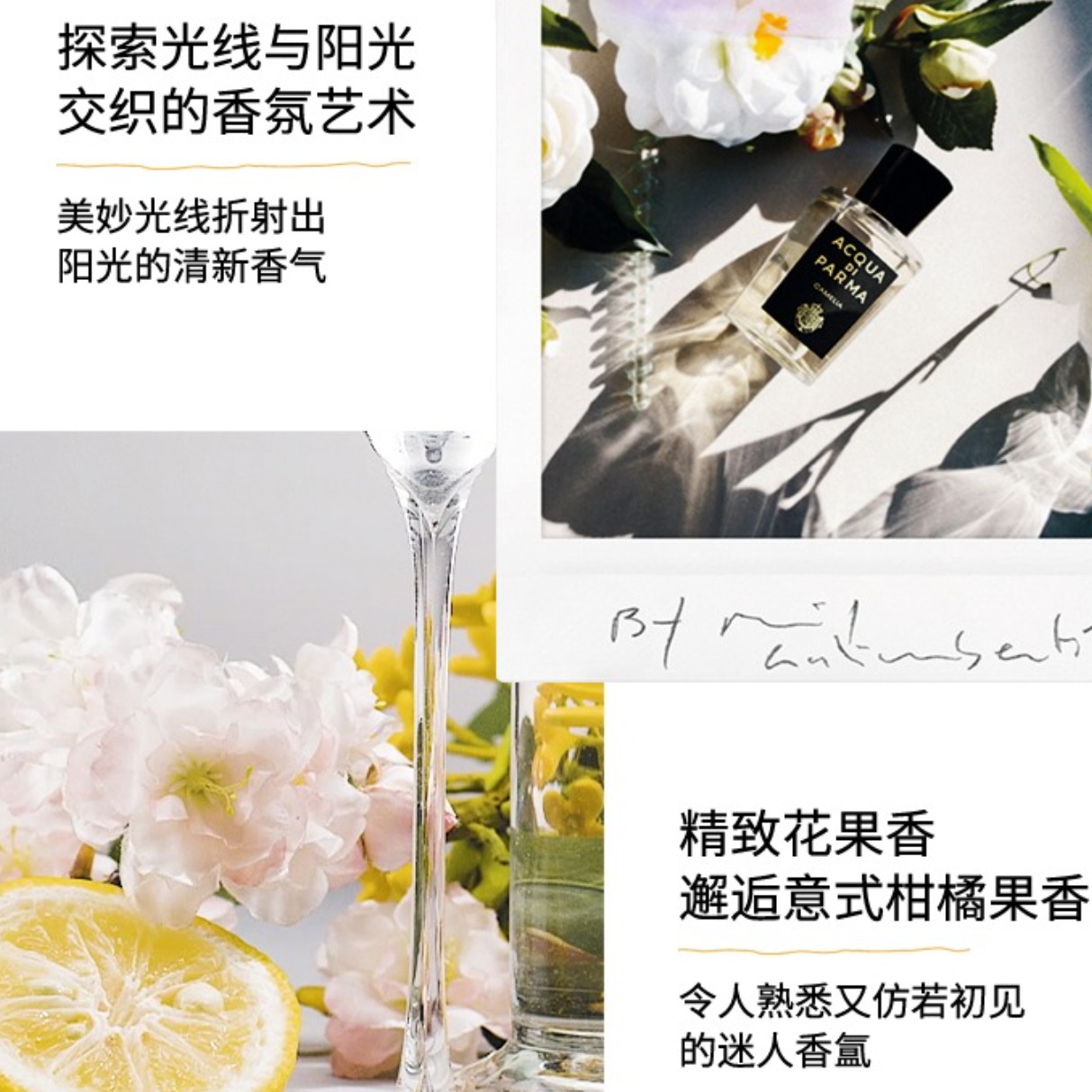 购物之前要识货 正品保障|平台比价|售后无忧