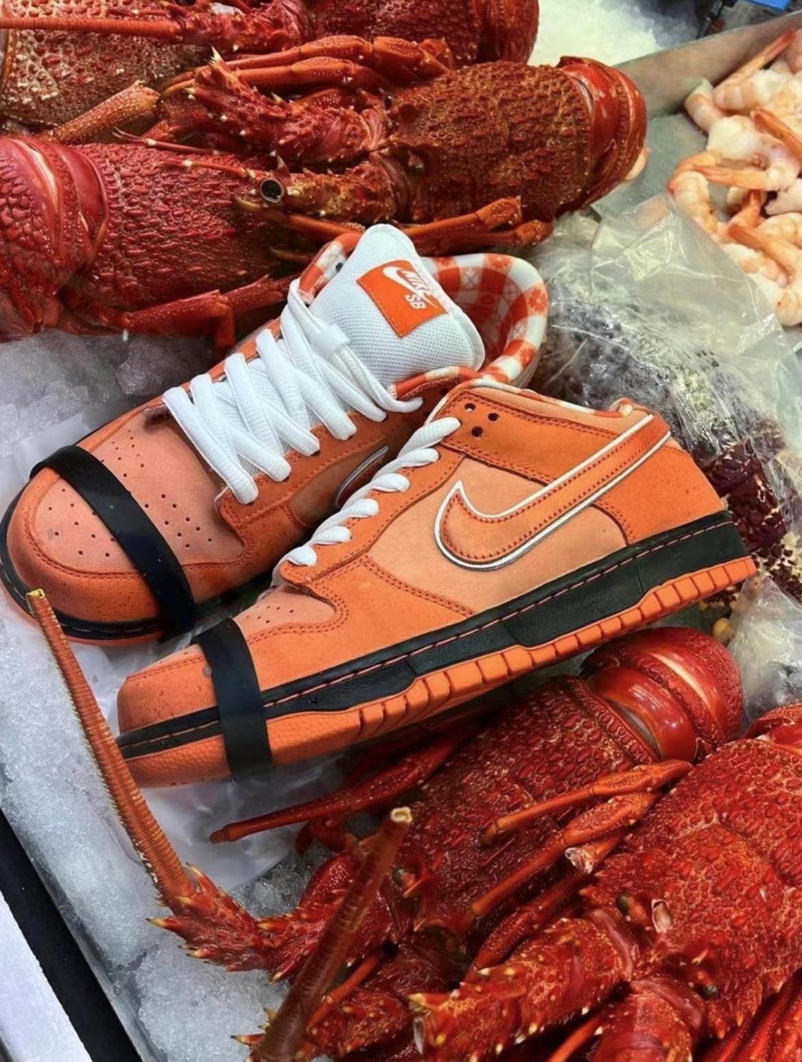 新龙虾上桌🦞