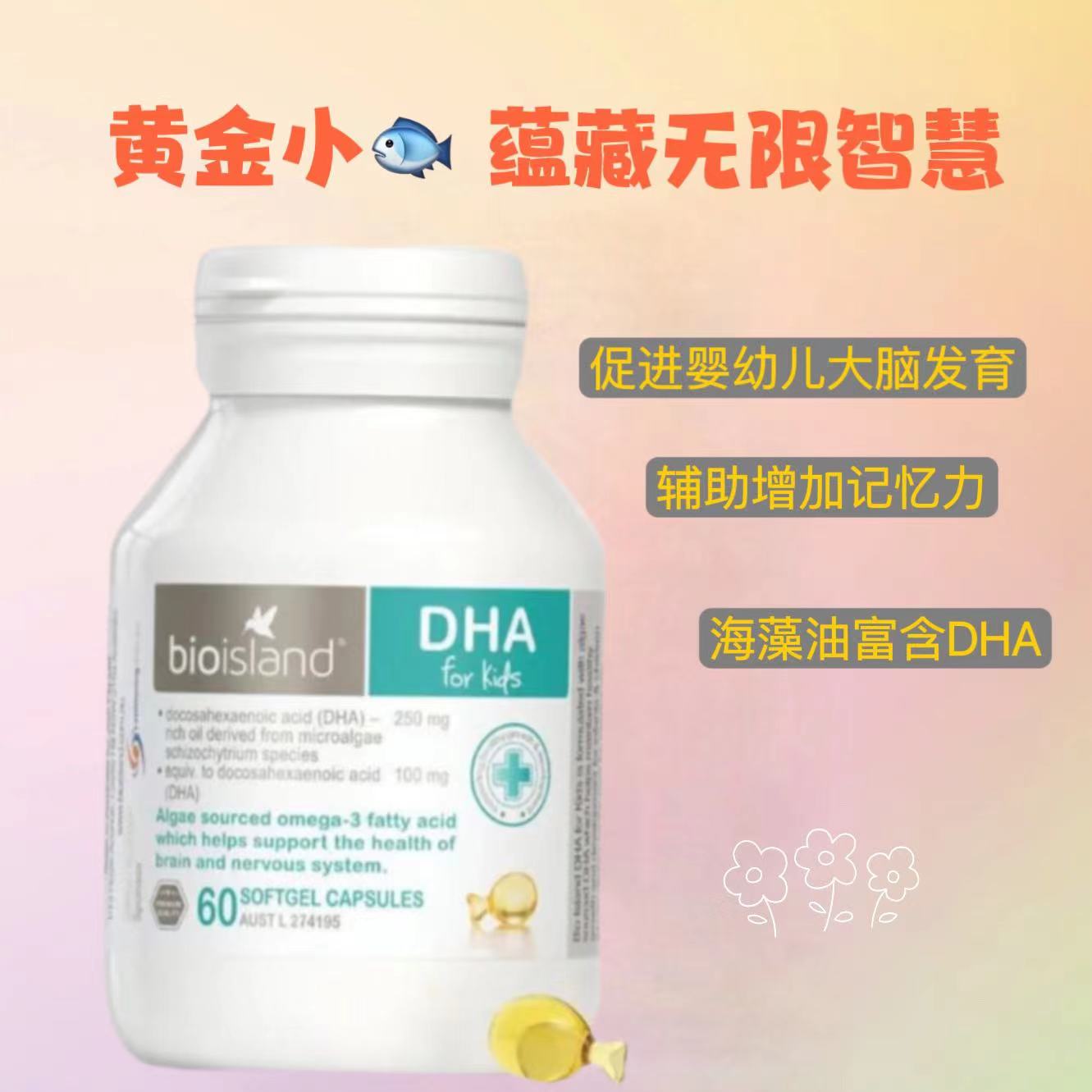黄金小鱼，蕴藏无限智慧~