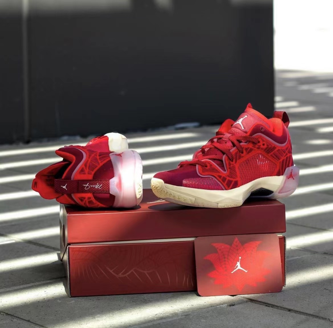 「一池红莲」AirJordan37Low新品分享
