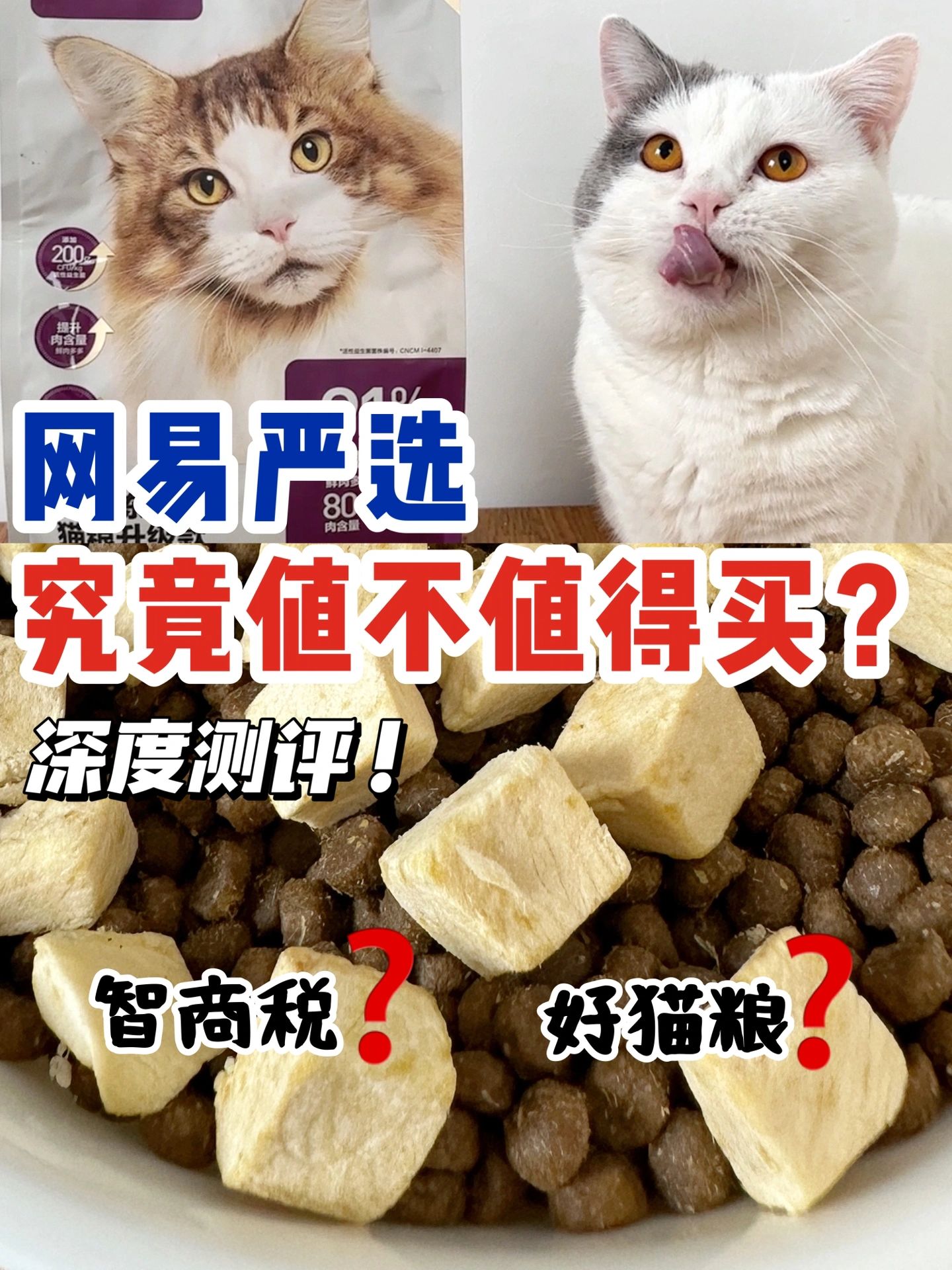 国产猫粮测评｜网易严选究竟值不值得买⁉️