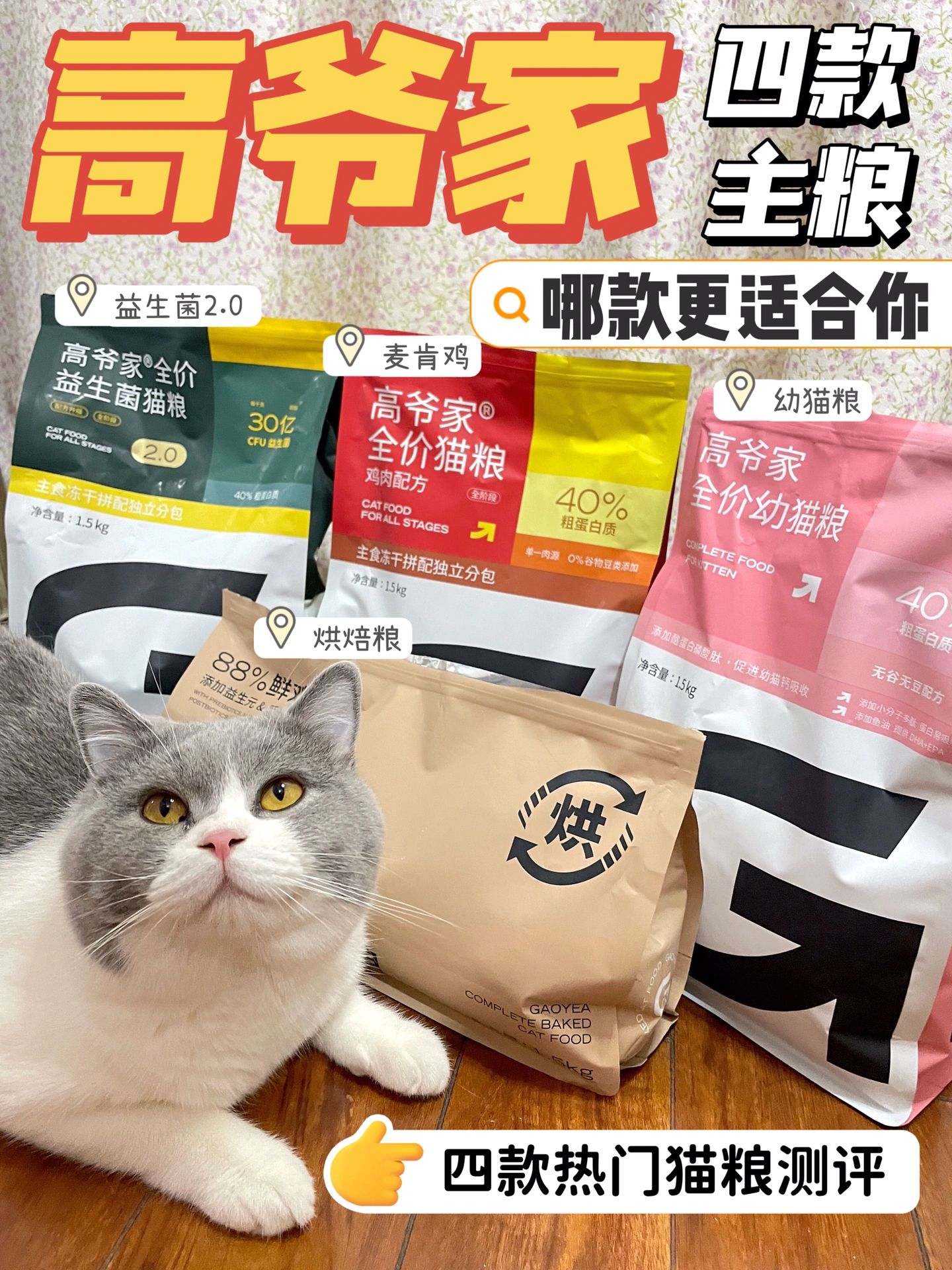 猫粮必囤高爷家😼四款粮总有一款适你🤩