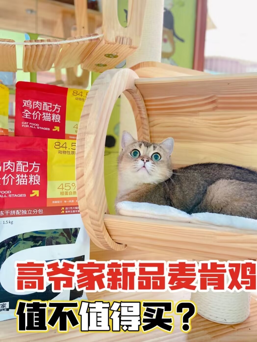 什么🧐？！高爷家把麦当劳肯德基拿来做猫粮？