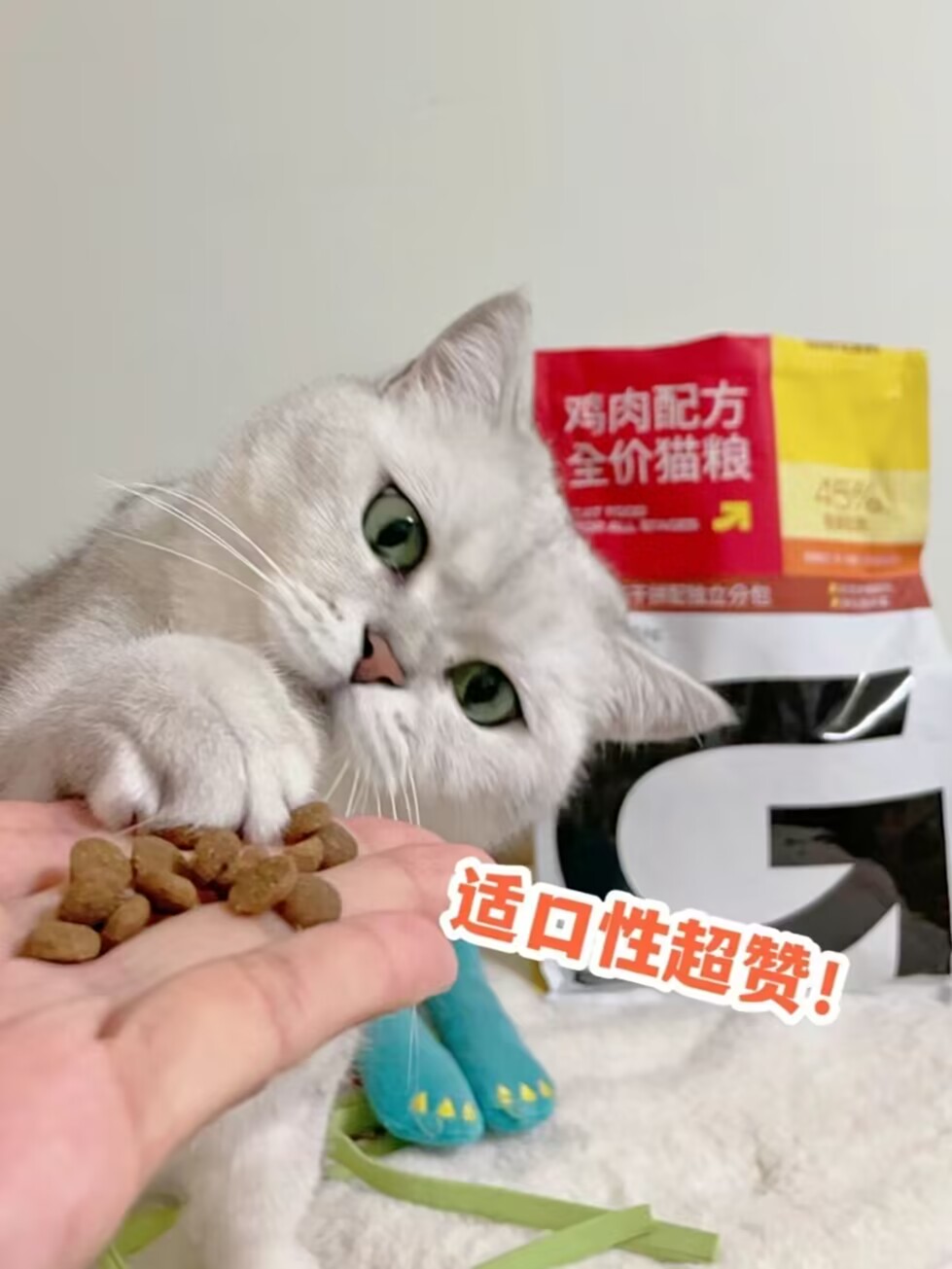 猫咪挑食不长肉？那是你没选对猫粮!