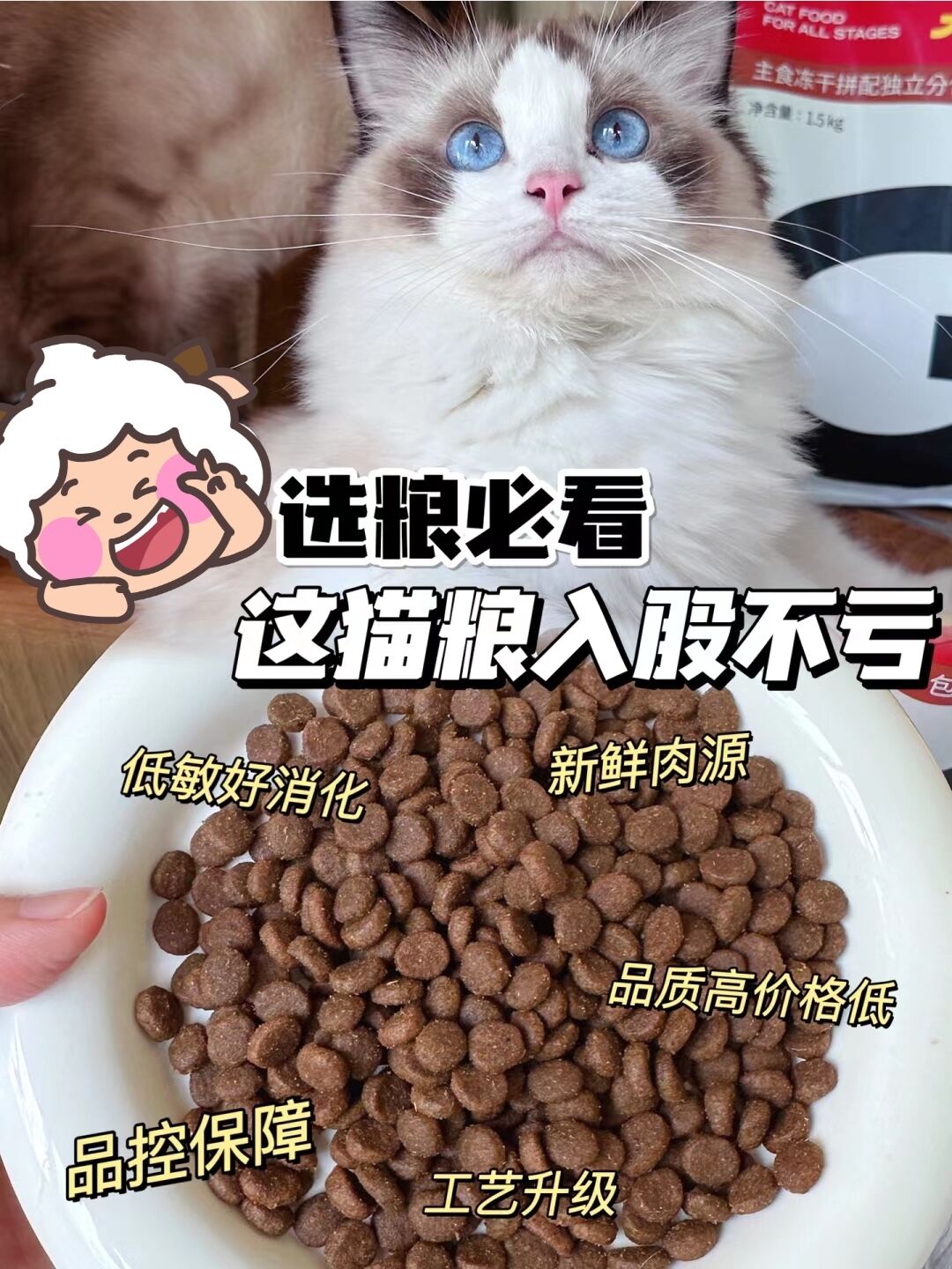 现在小猫咪🐱也能吃上麦当劳kfc了吗？