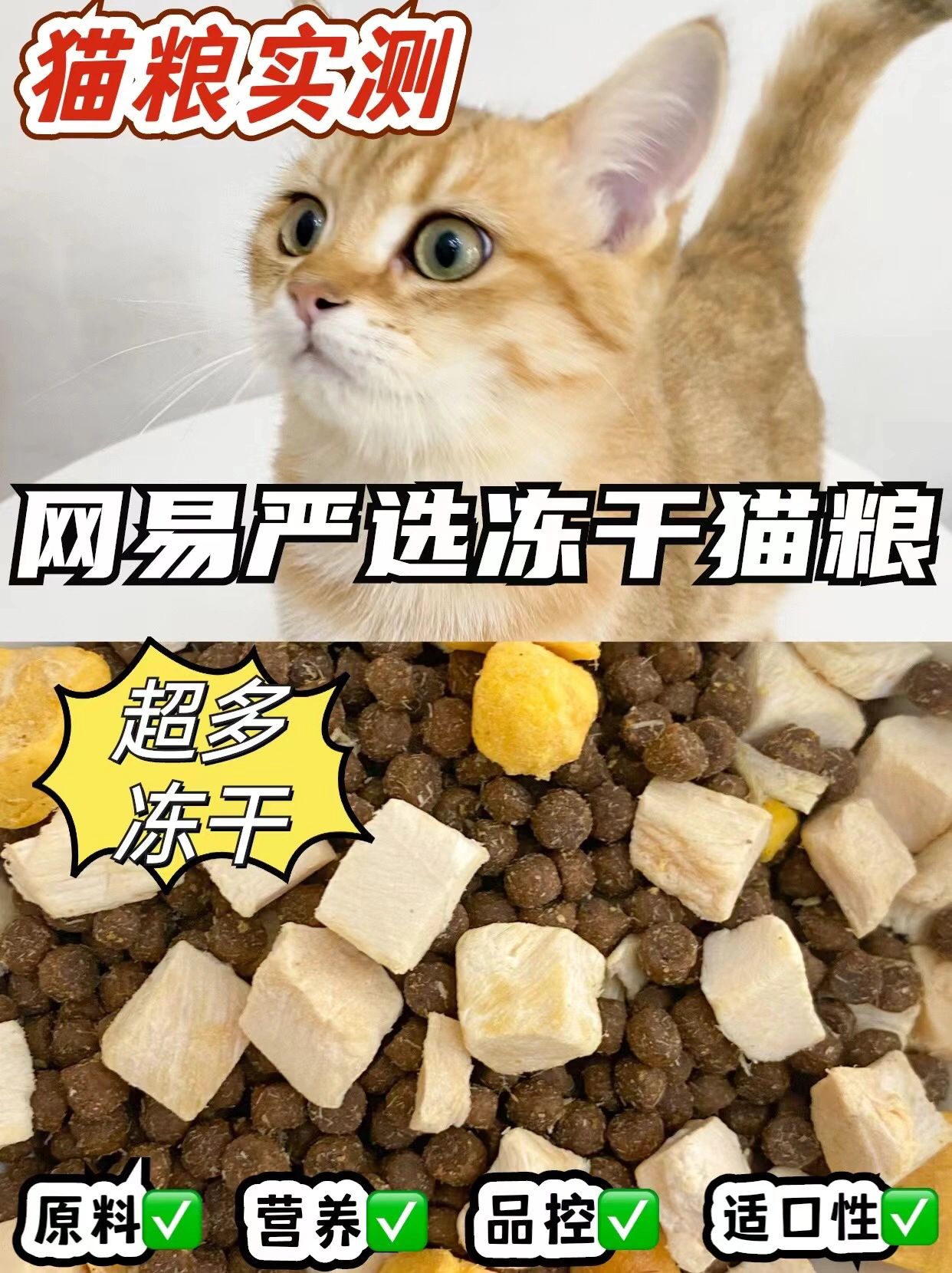 不吹不黑｜网易严选冻干双拼猫粮测评