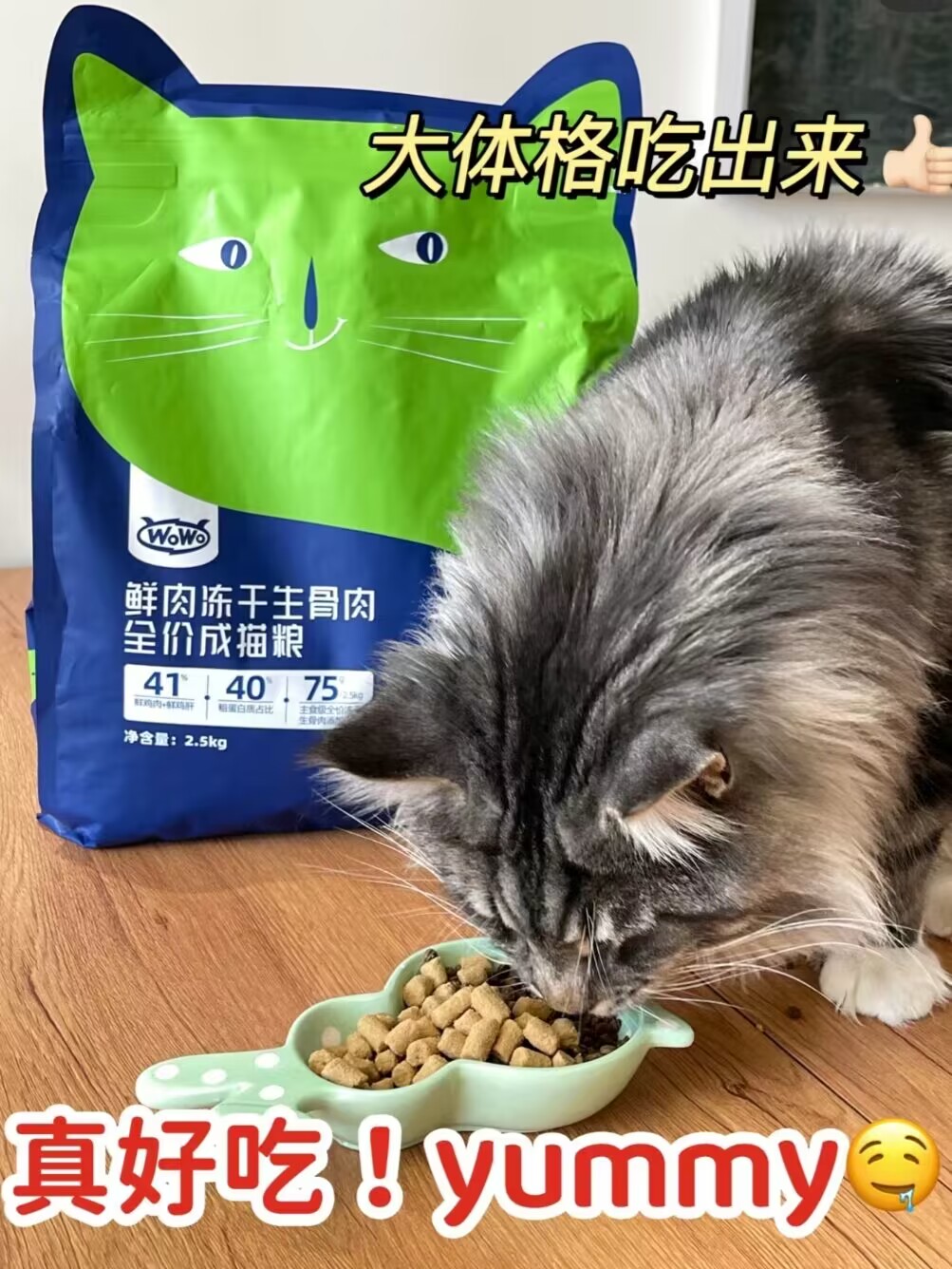 拯救挑食小猫咪！鲜肉生骨肉猫粮真香!