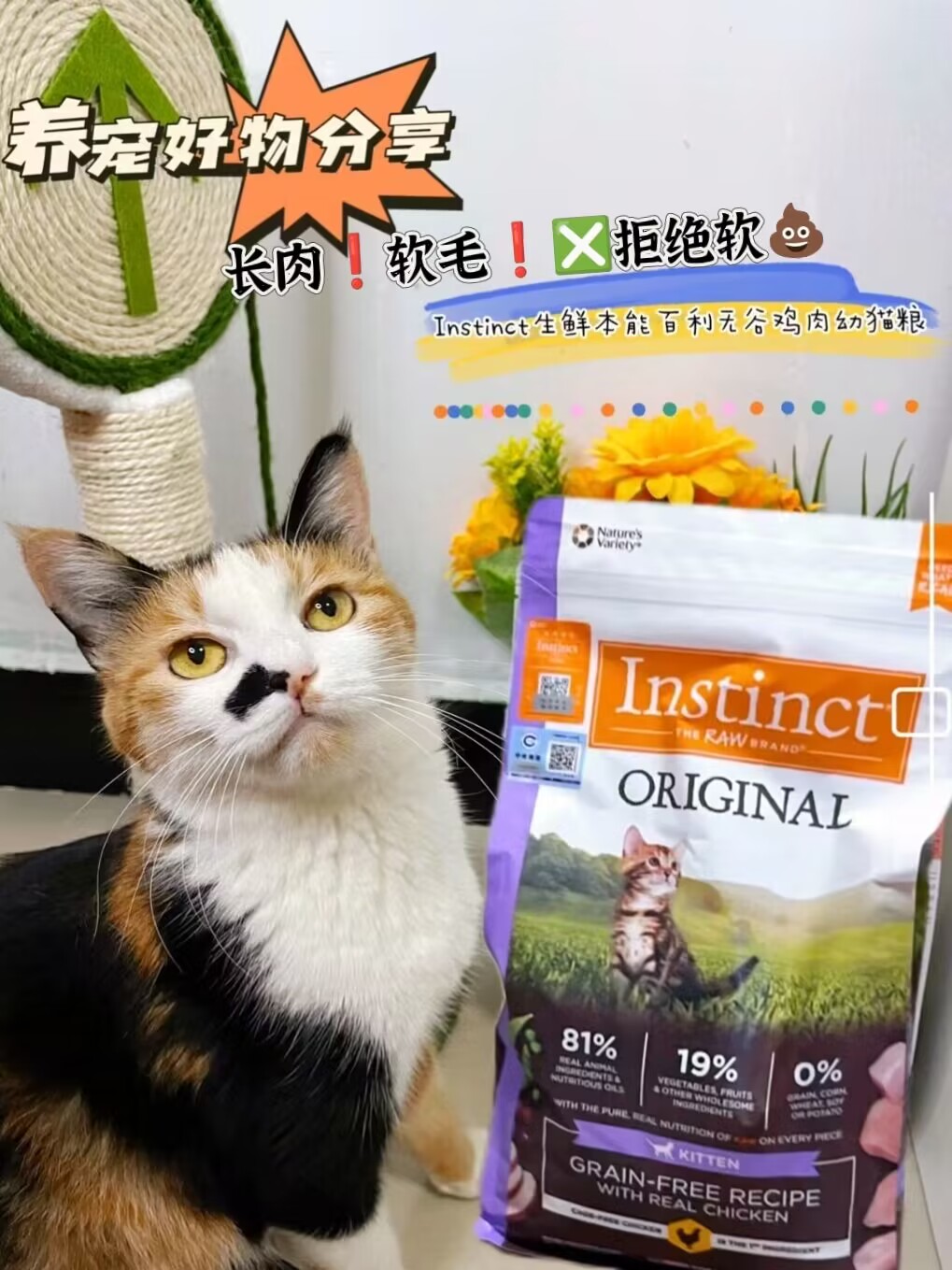 新手选粮不焦虑|国产宝藏猫粮测评~