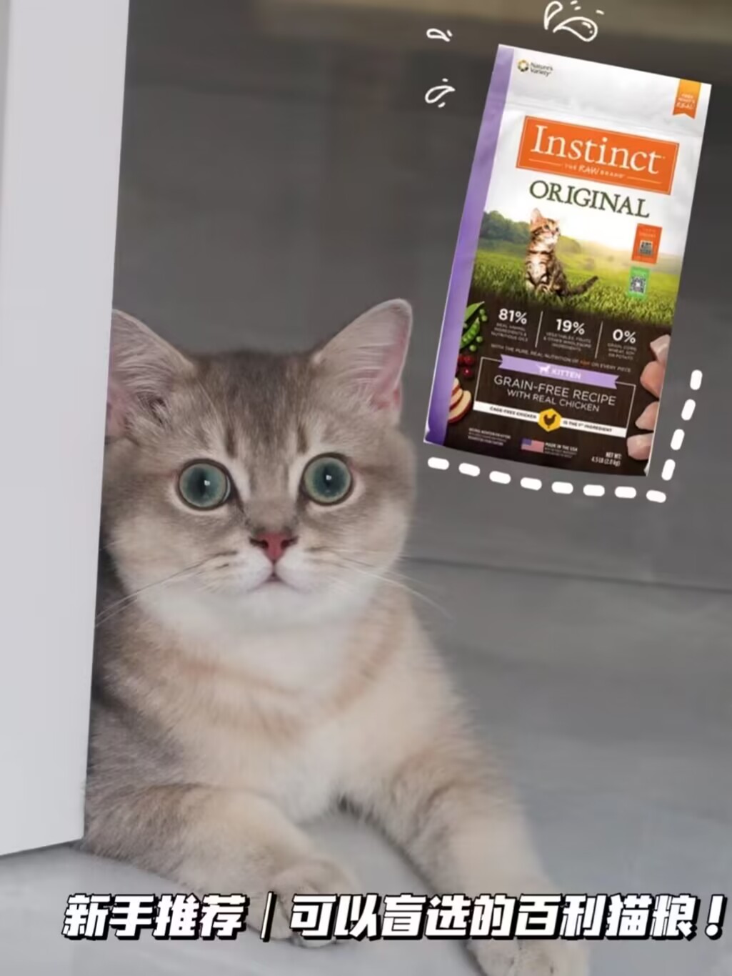 新手推荐|可以盲选的百利猫粮!