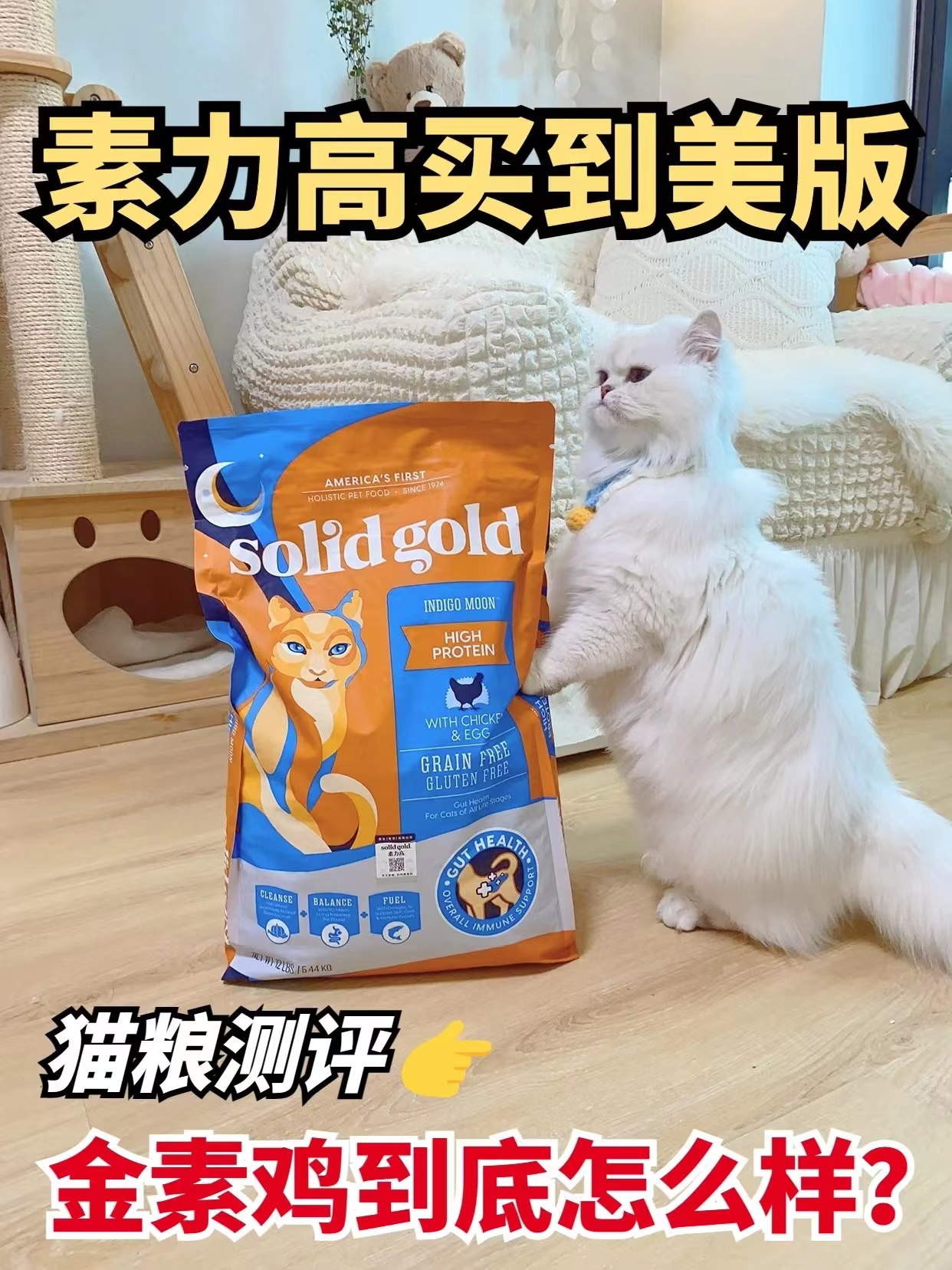 不吹不黑‼️素力高金素猫粮实测分享✅