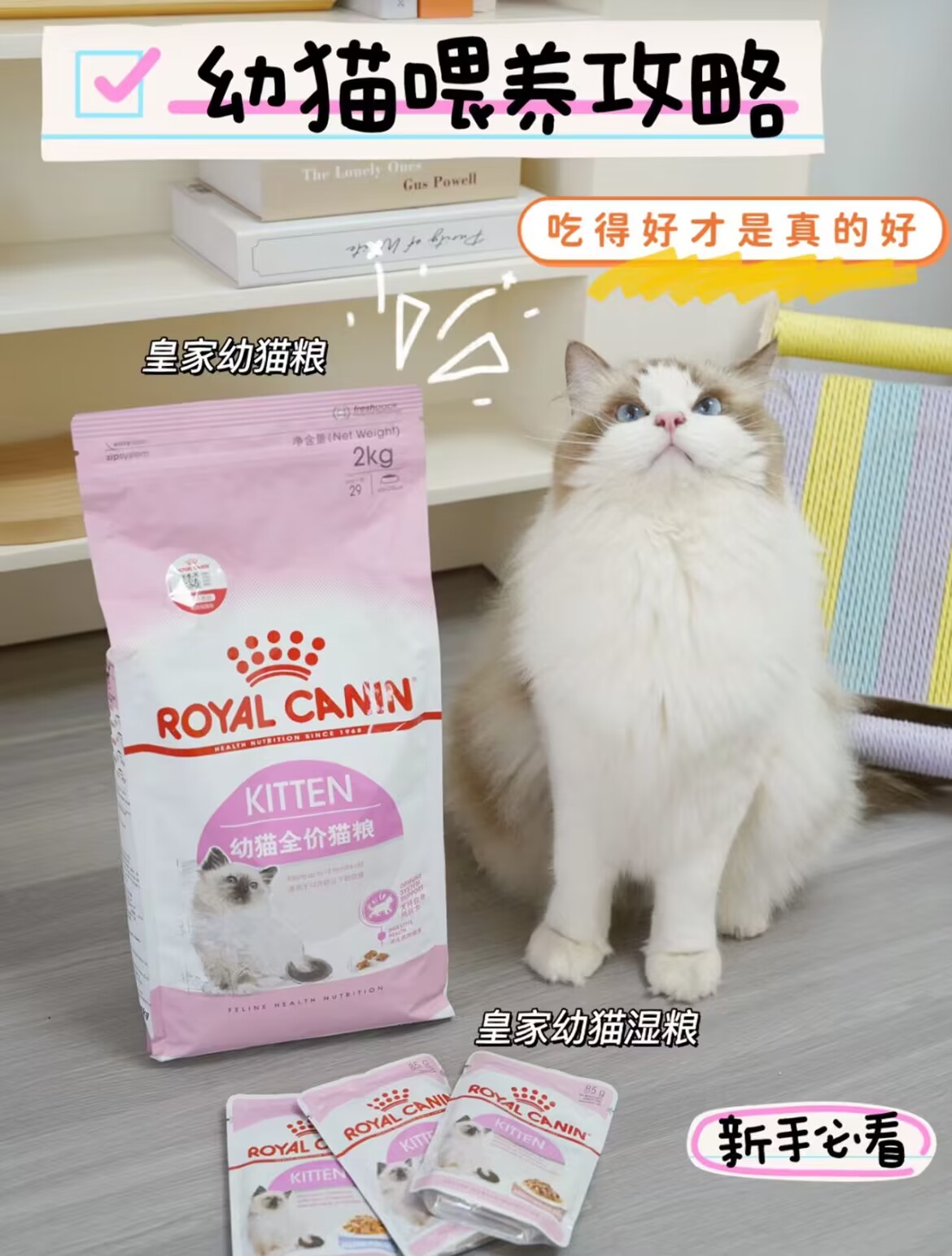 幼猫喂养首迭猫粮～皇家幼猫粮