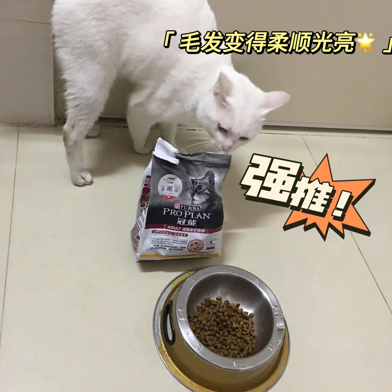 冠能猫粮也太得猫主子的心了👍
