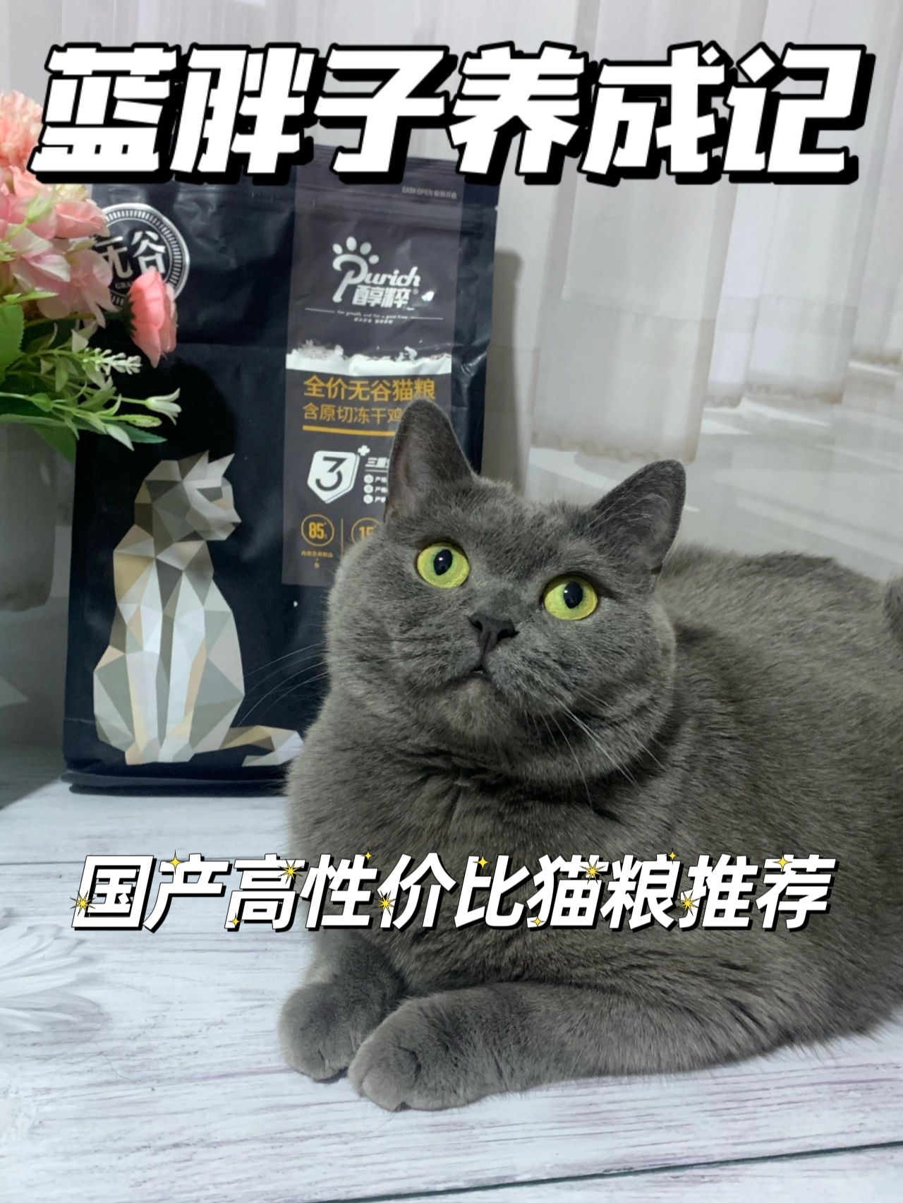 🌟平价国产猫粮性价比丨醇粹黑标🌟