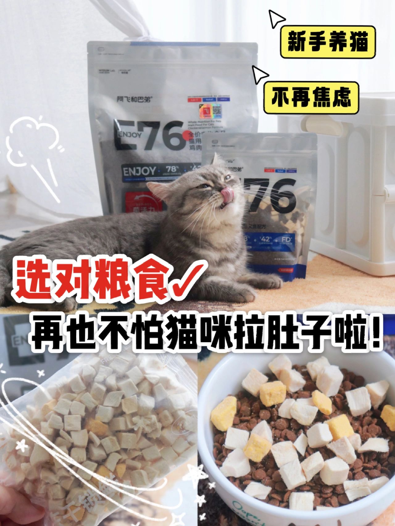 选对粮食✓再也不怕猫咪拉肚子啦！