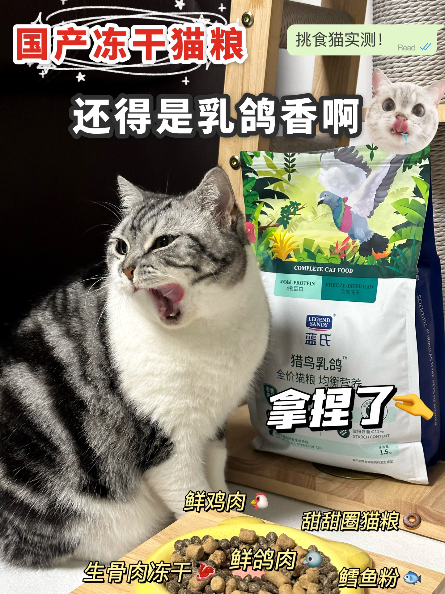 深度测评｜5年养猫人来说点蓝氏乳鸽猫粮的大实话！！