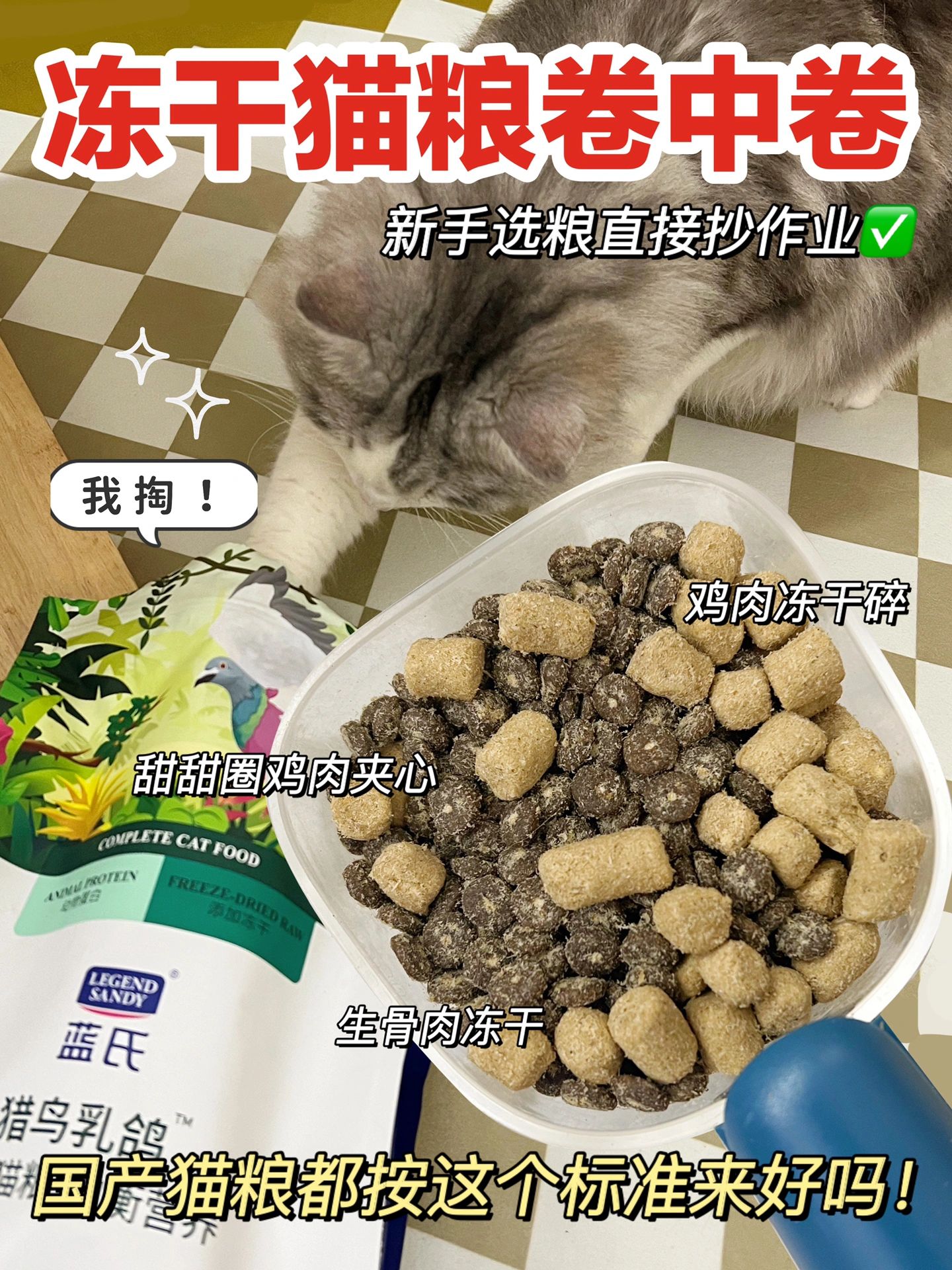新手选粮直接抄作业！征服挑食怪猫咪🐱