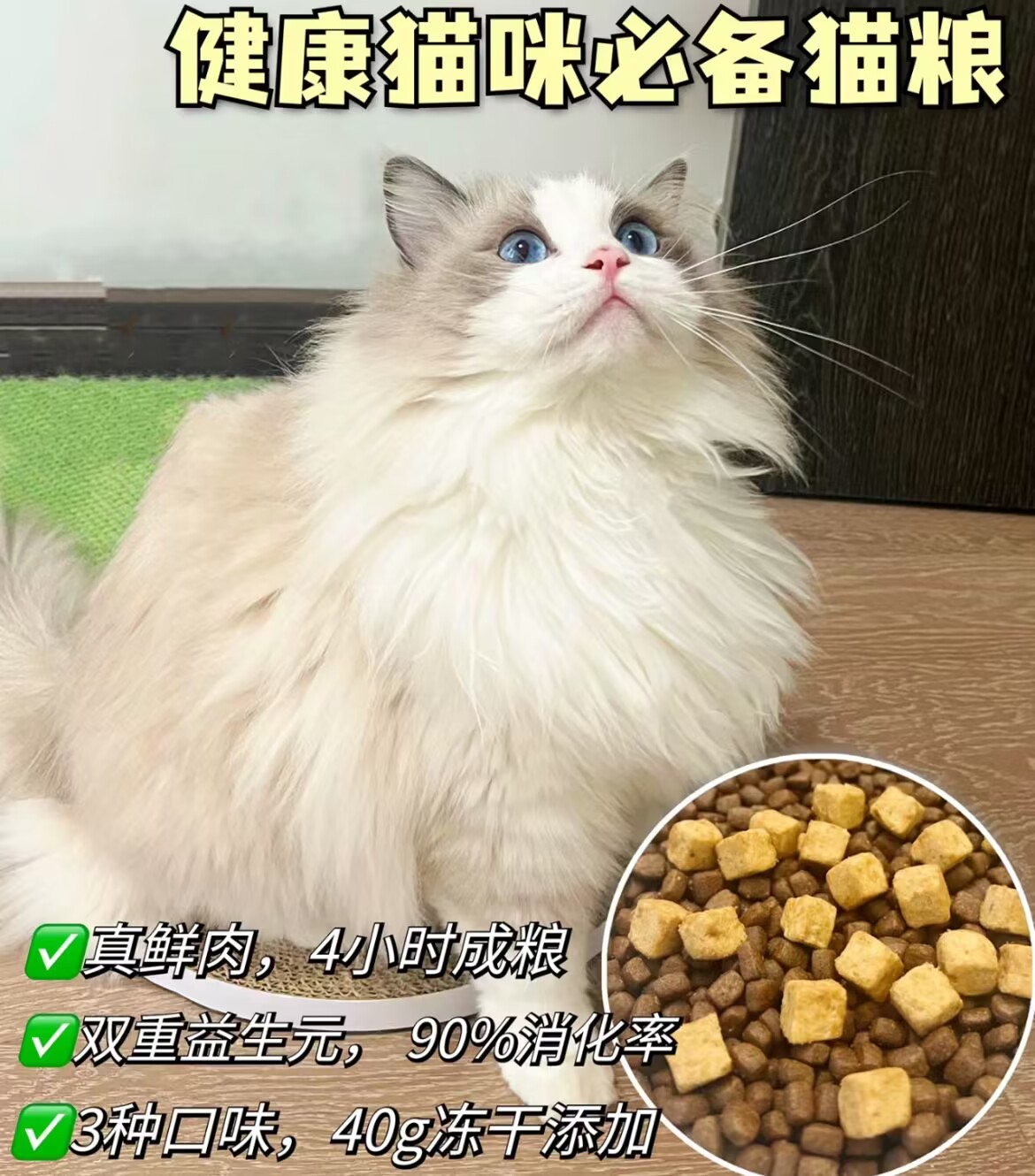 高蛋白猫粮推荐 增肥发腮首选