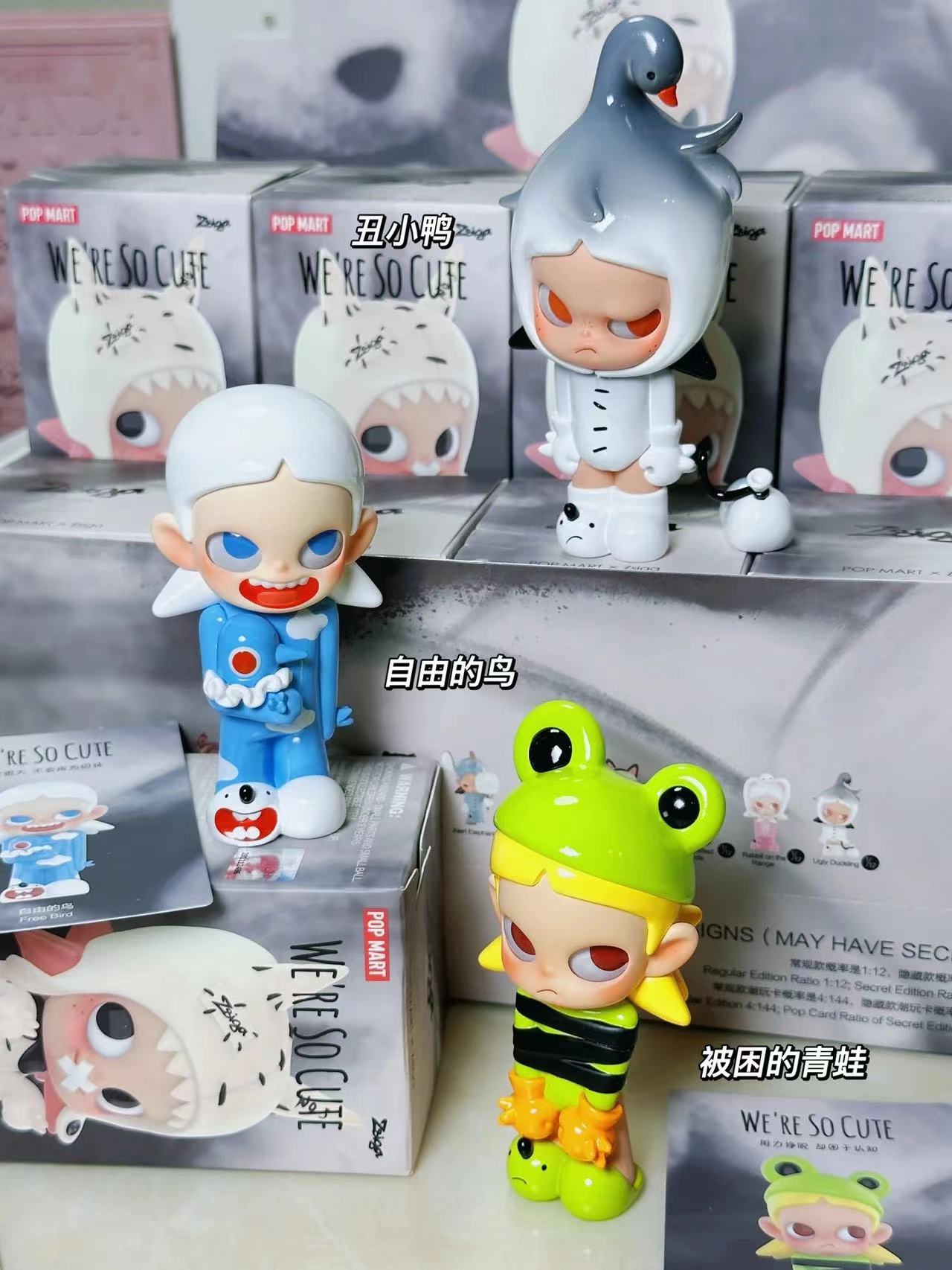 Zsiga终于出二代了❤️真的好可爱！