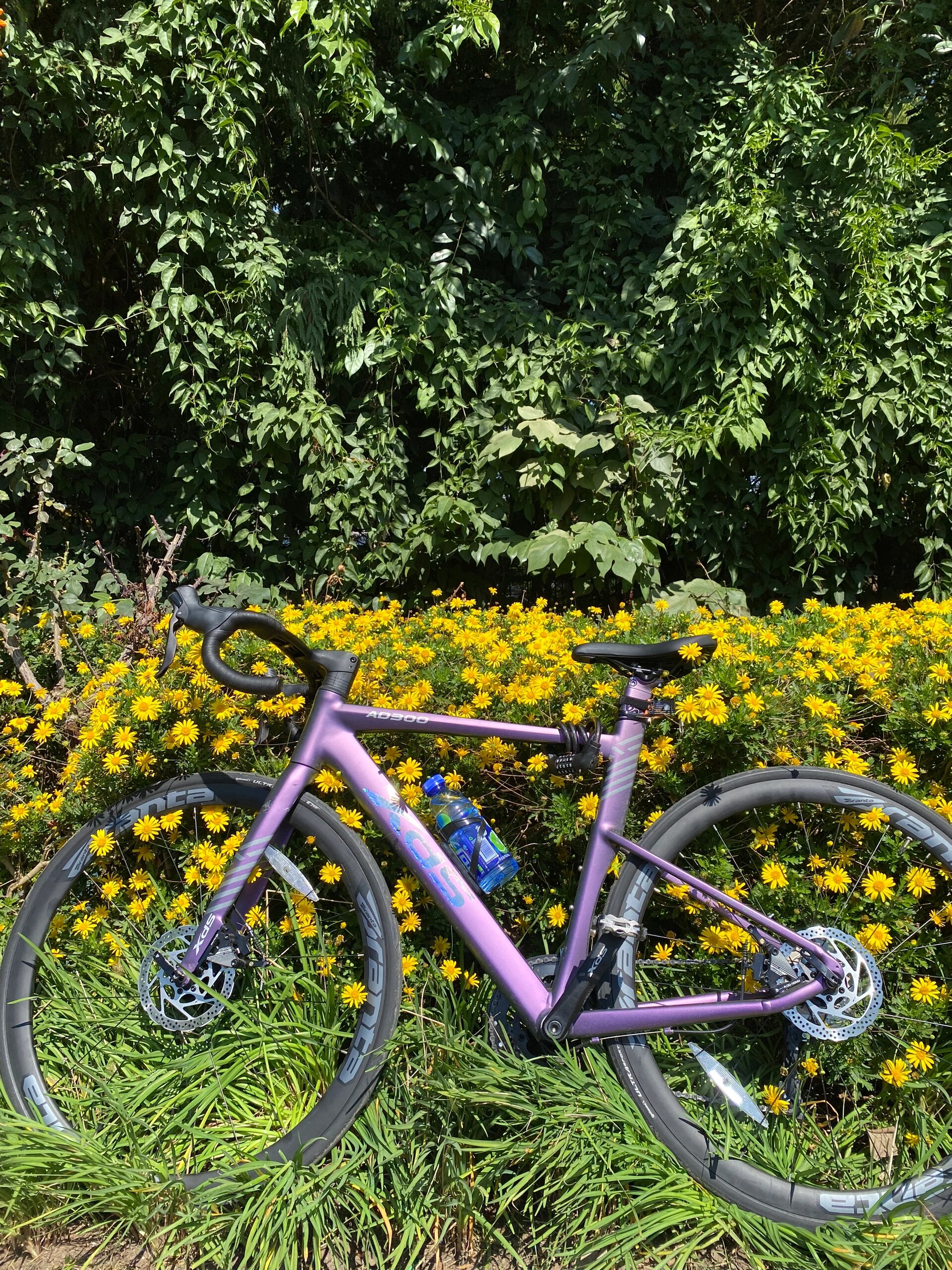 轻盈破风，畅游赛道！喜德盛 AD300 带你飞翔！✨