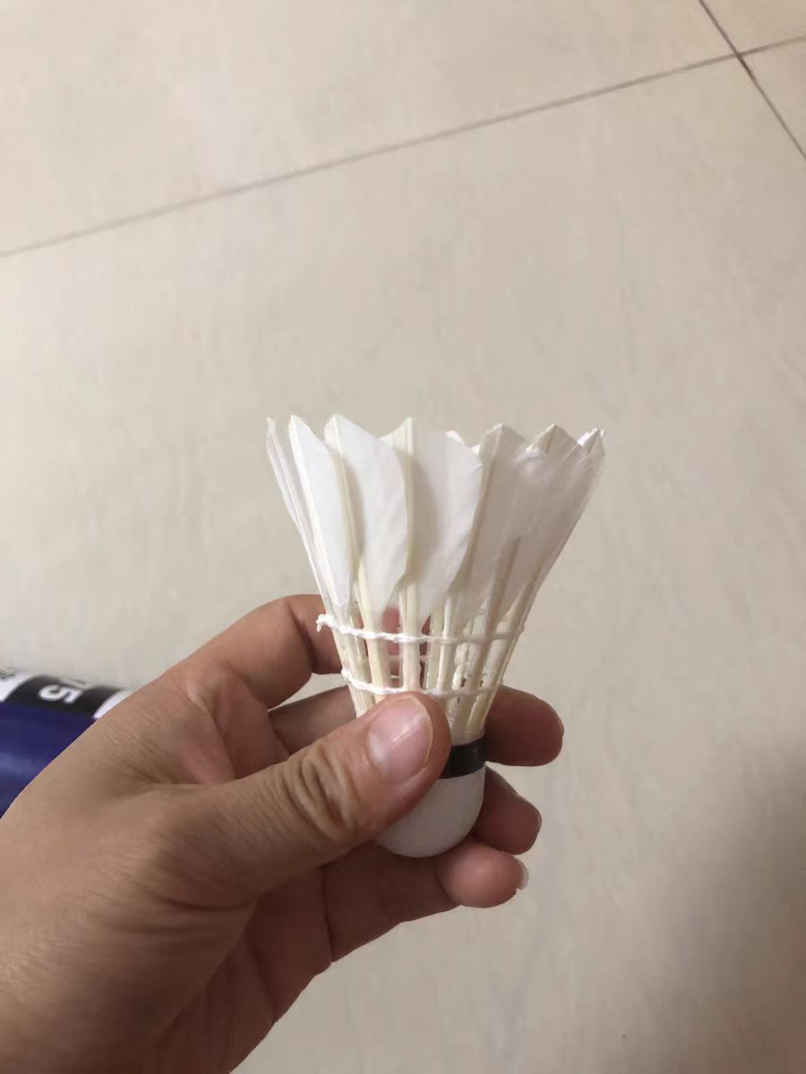 偷偷的给你们看看我的宝贝羽毛球！