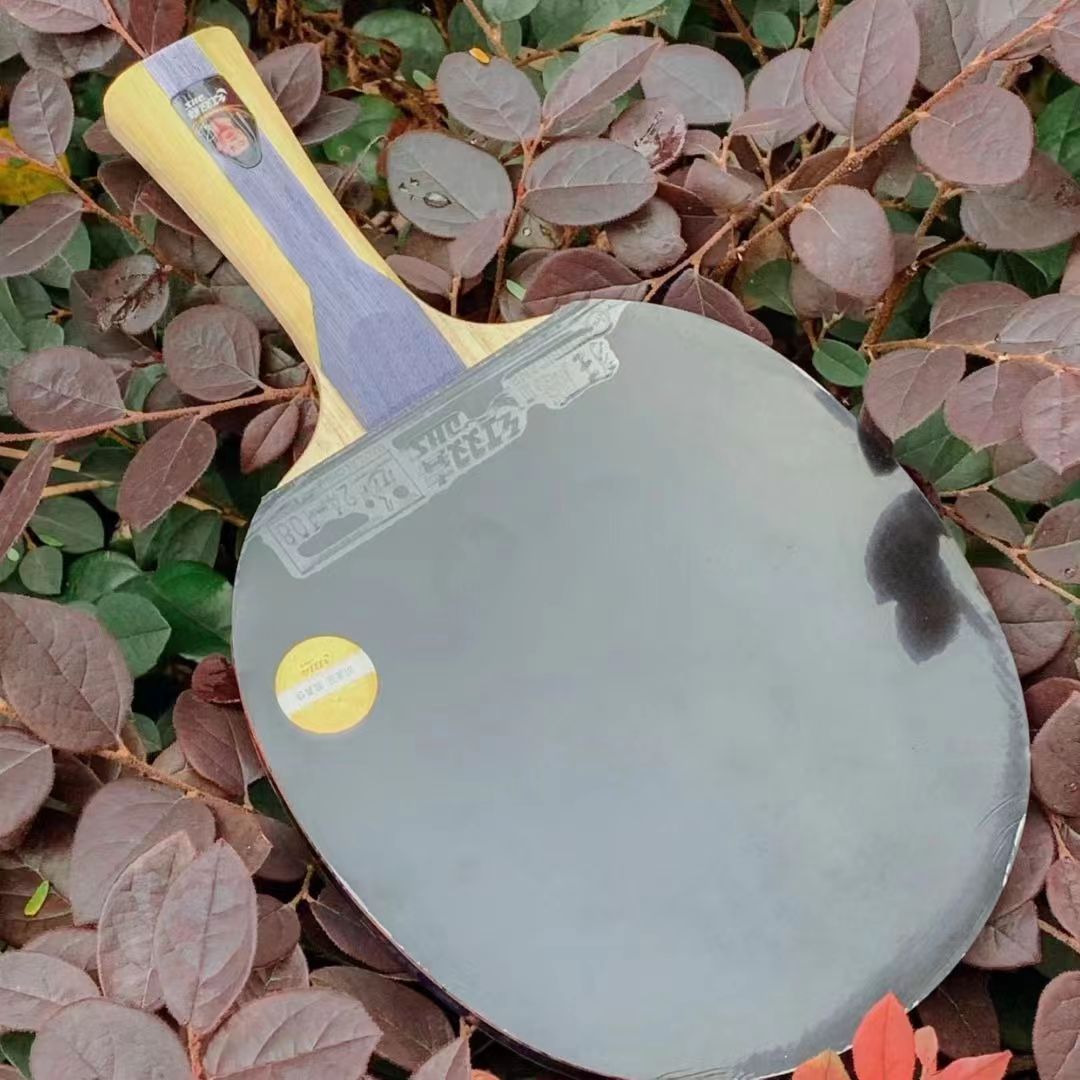 平价球拍体验感之红双喜h5