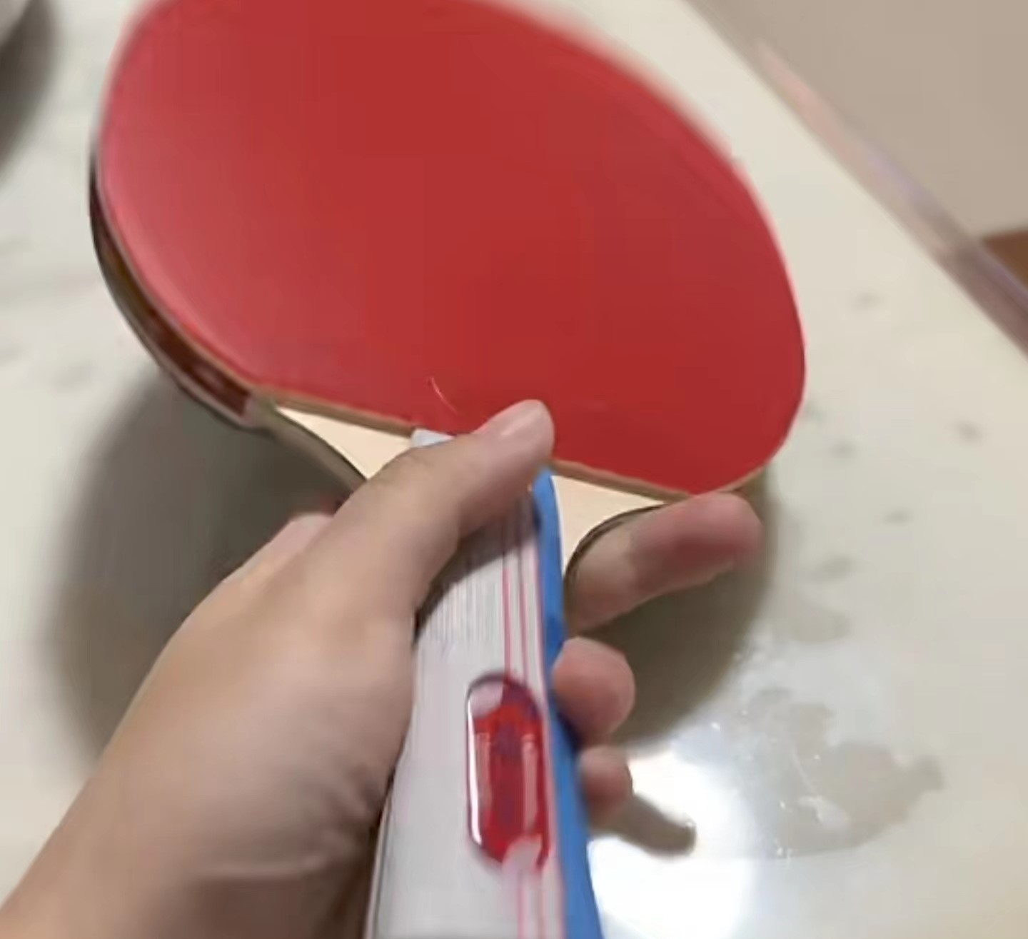 新买的蝴蝶拍