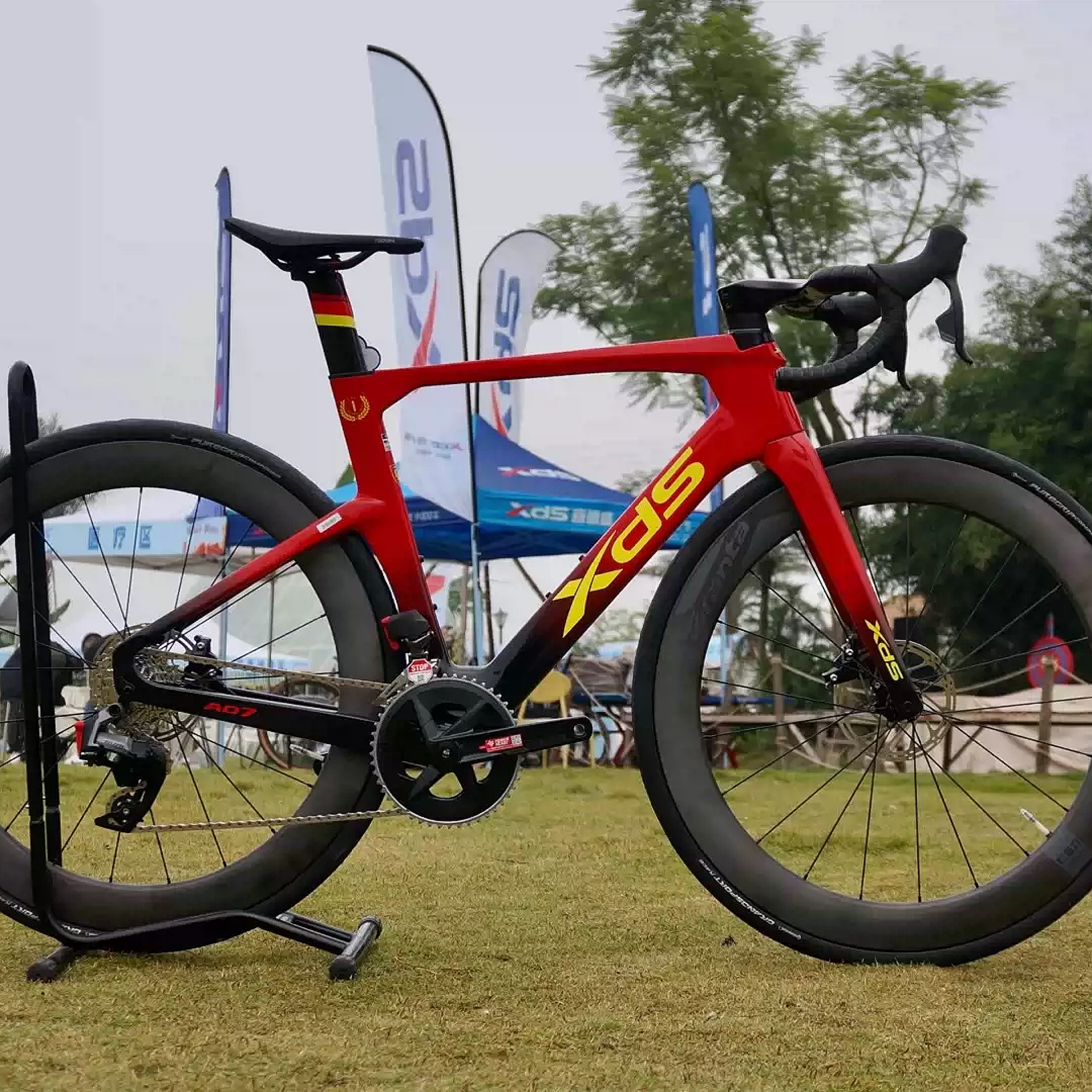 💨🚴‍♂️ 想要一辆让你瞬间变身风骚公路车手的自行车吗？