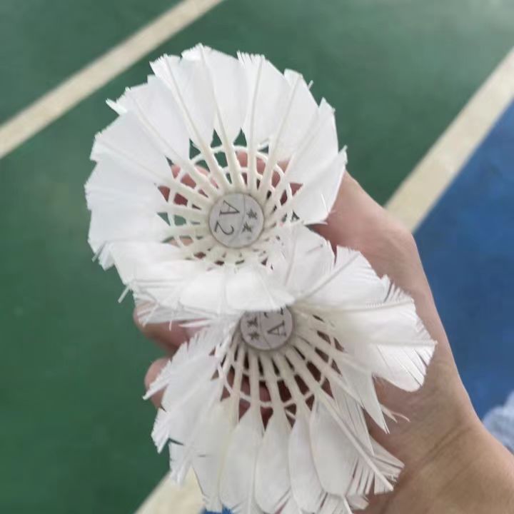 到底还有什么平价羽毛球好用