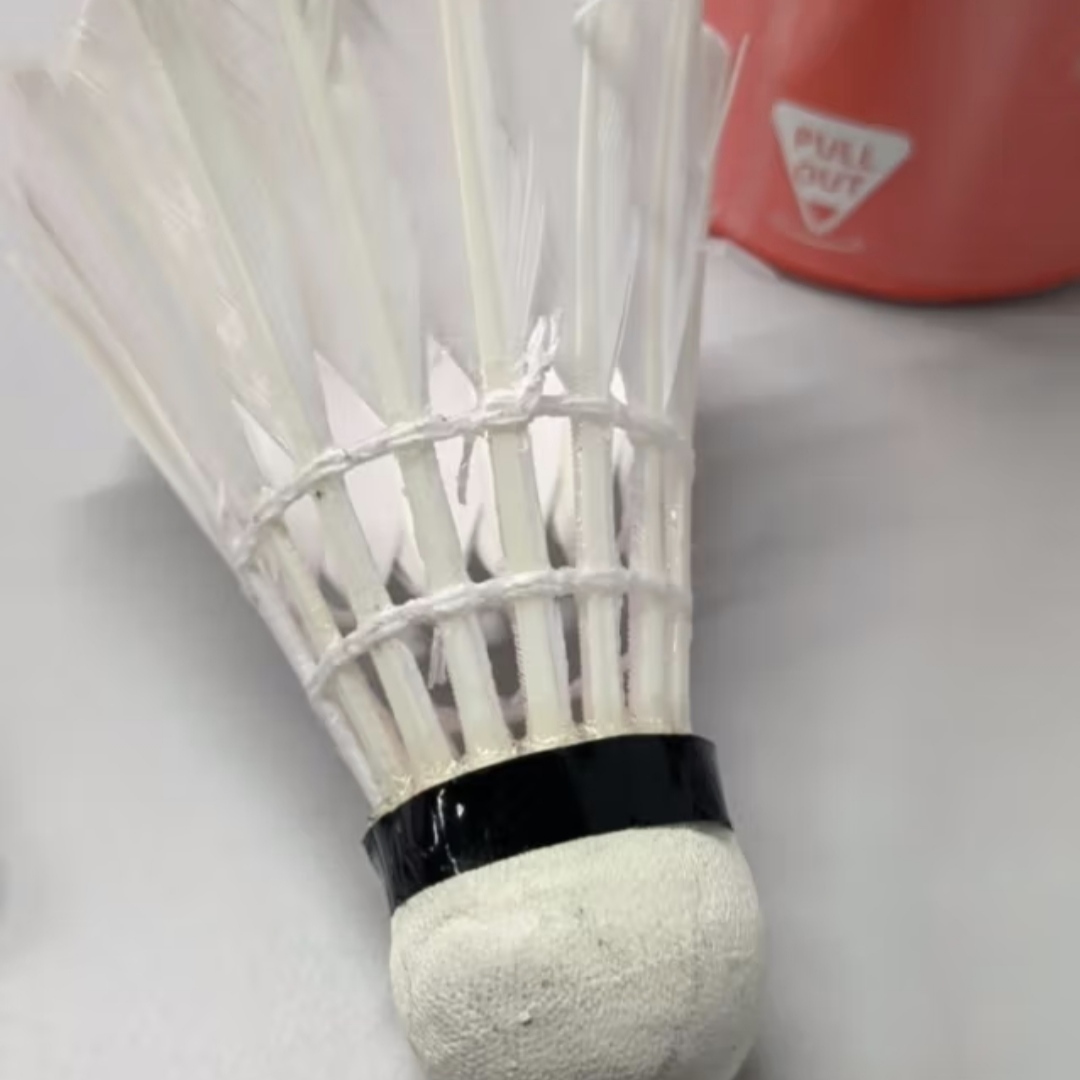 让我看看谁还没用过李宁G100鹅毛羽毛球