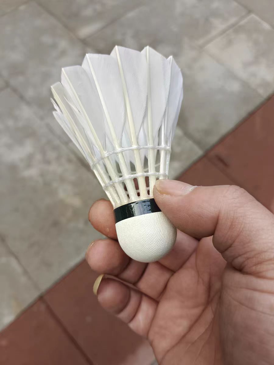 回头客收割机🏸李宁G100羽毛球